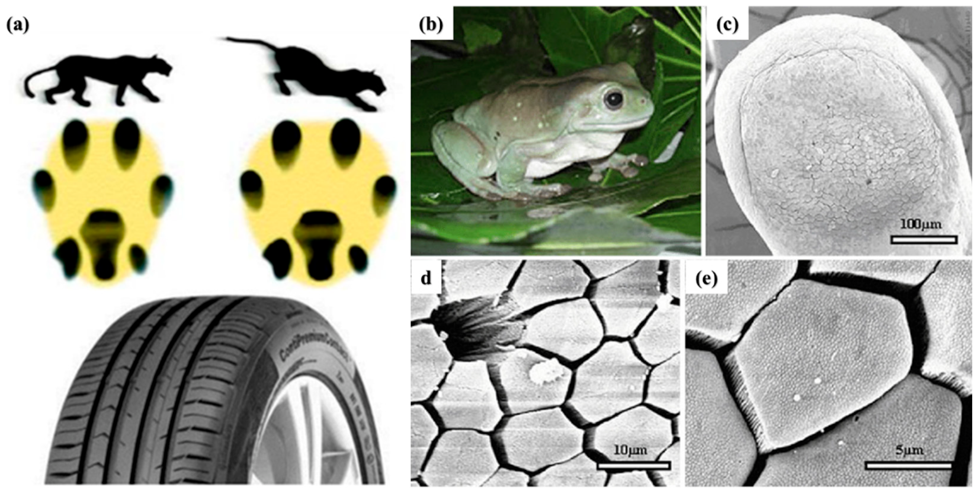 Biomimetics 08 00062 g010 Biomimetics 08 00062 g010