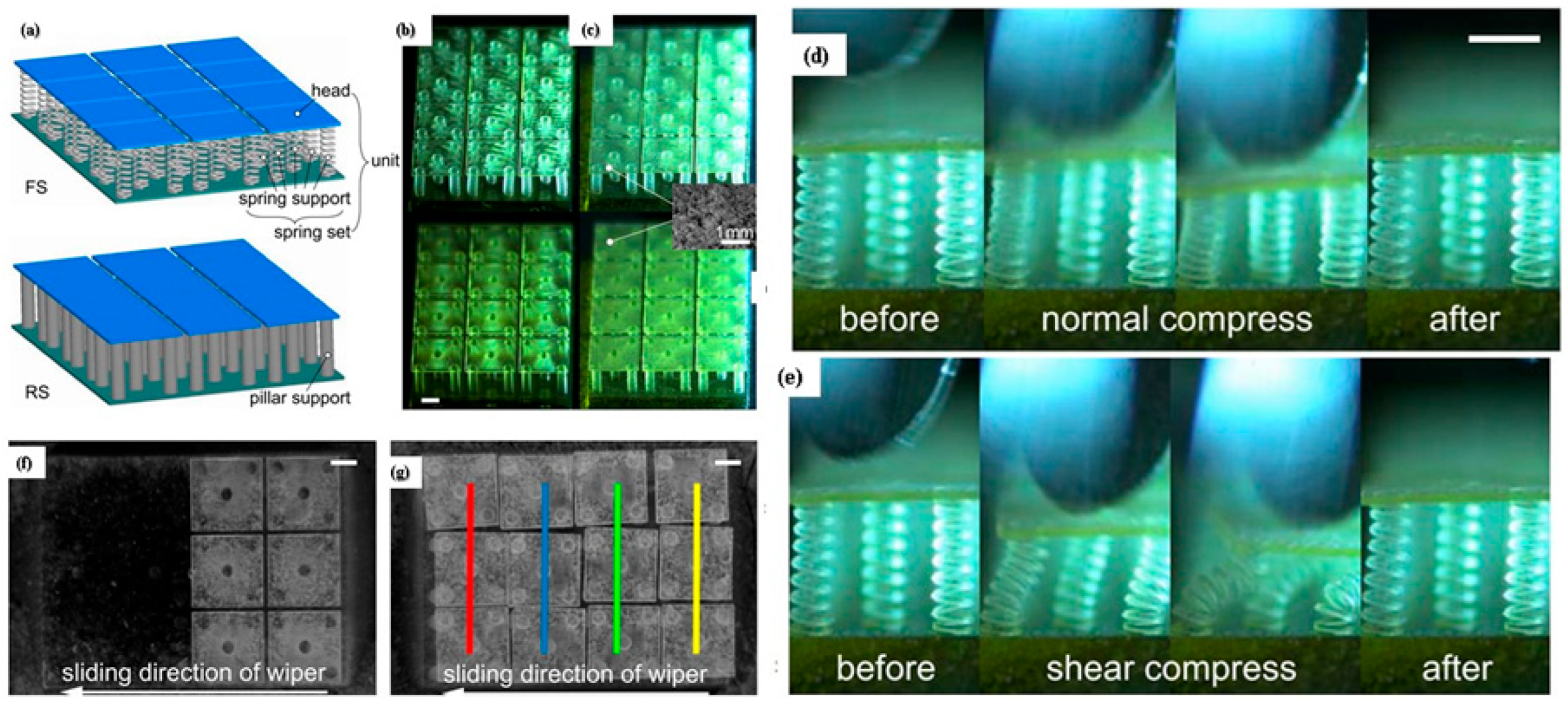 Biomimetics 08 00062 g011 Biomimetics 08 00062 g011