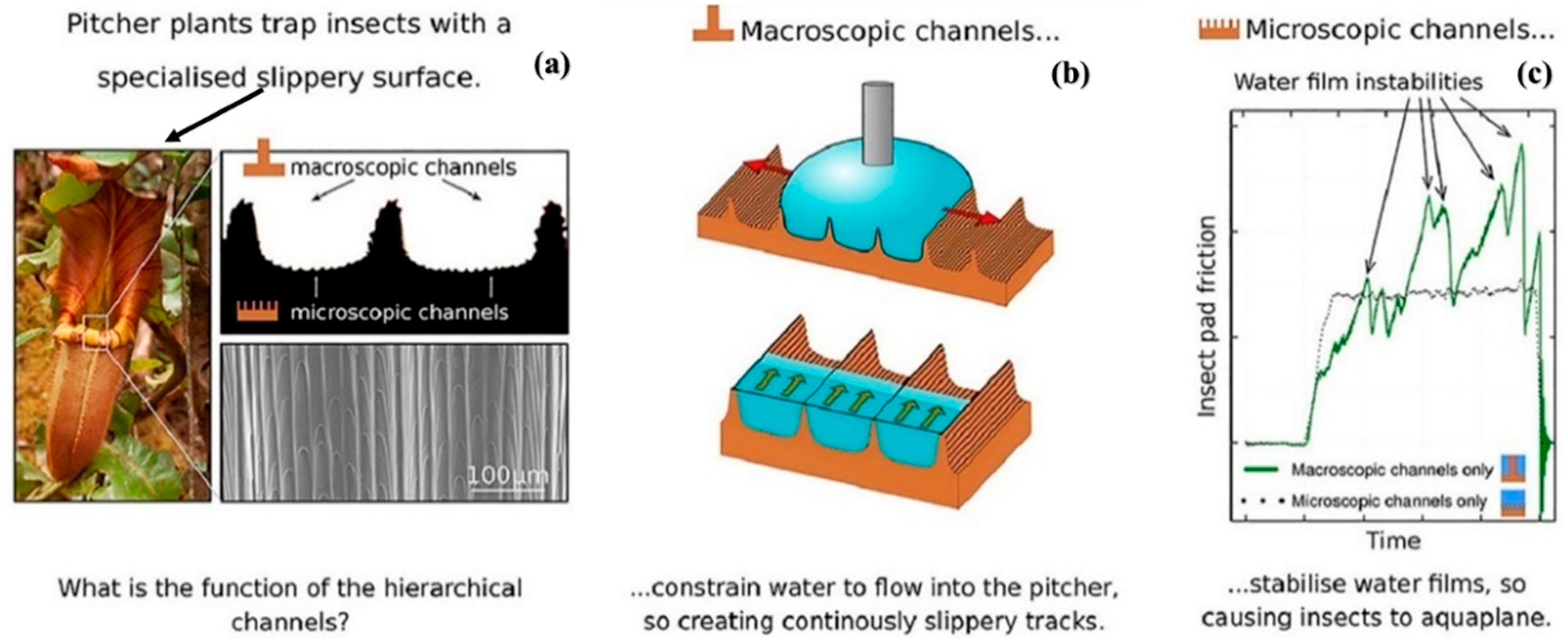 Biomimetics 08 00062 g012 Biomimetics 08 00062 g012