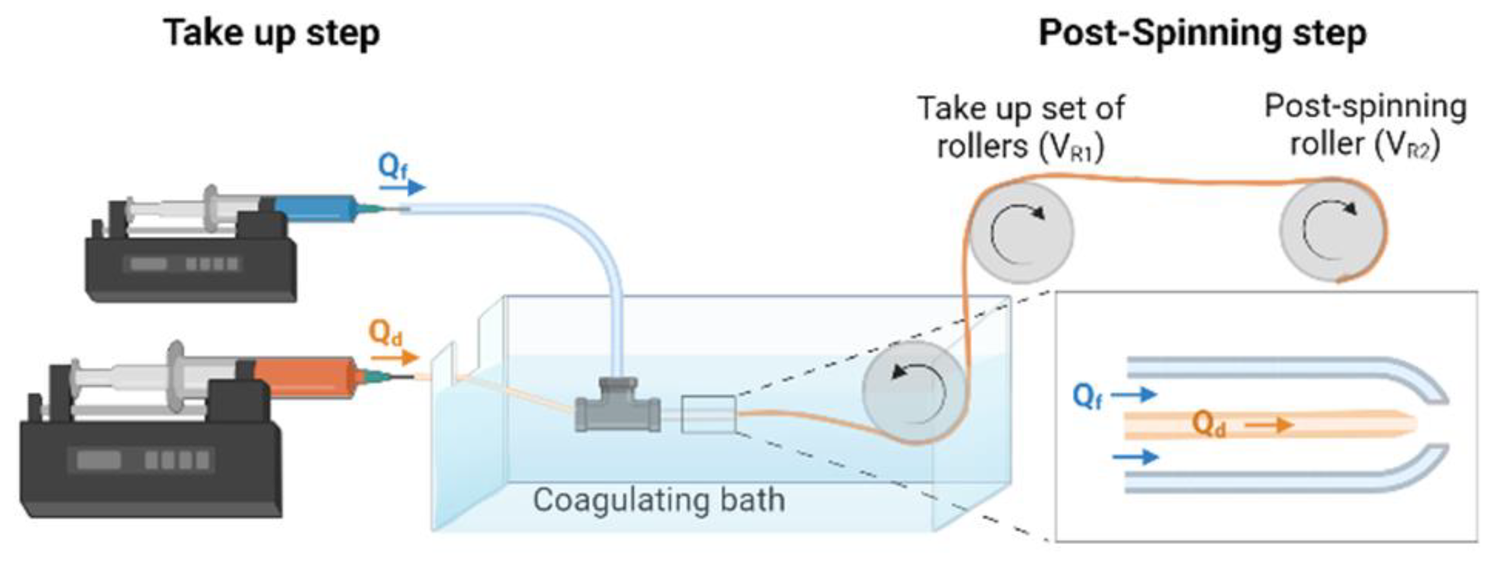 Biomimetics 08 00065 g001