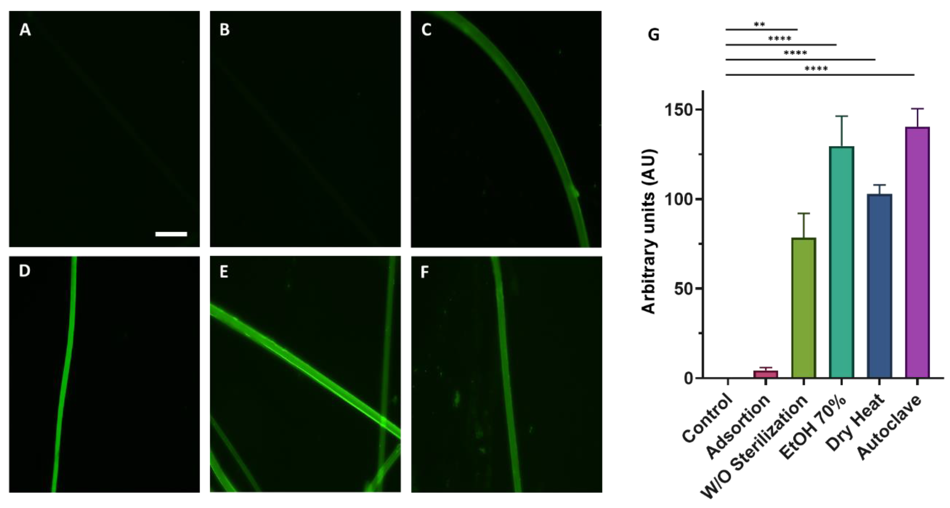 Biomimetics 08 00065 g002