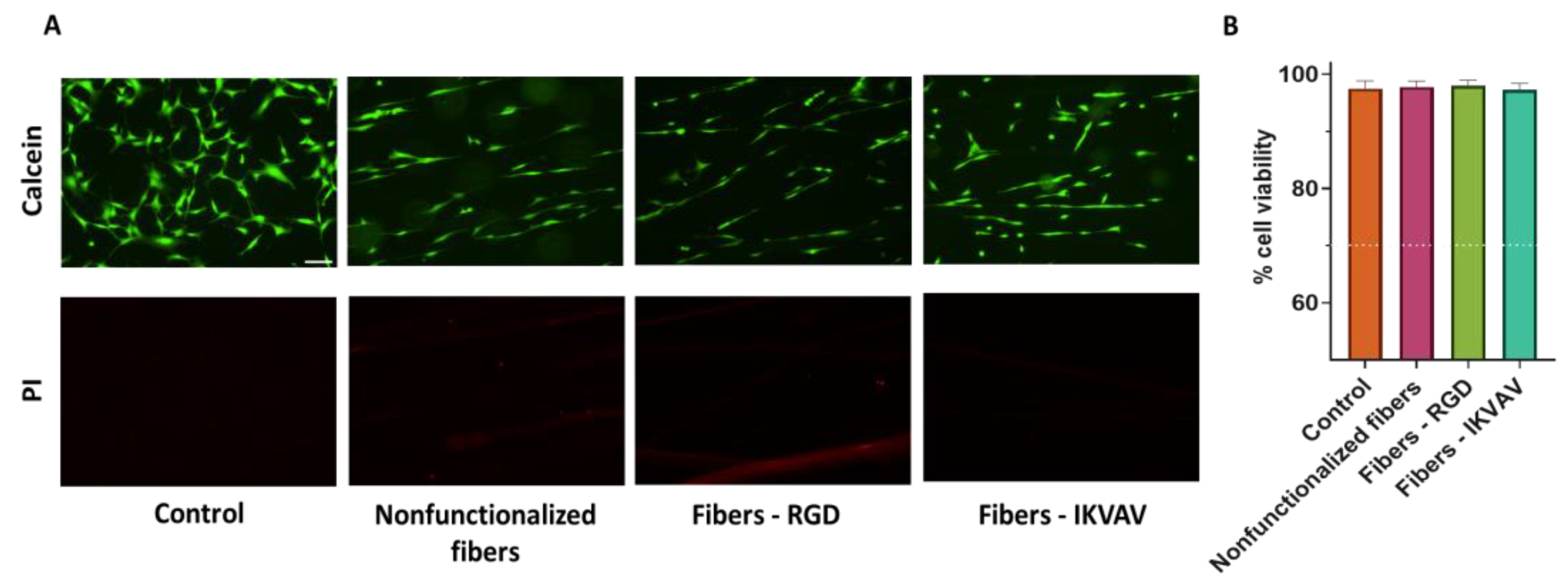 Biomimetics 08 00065 g004