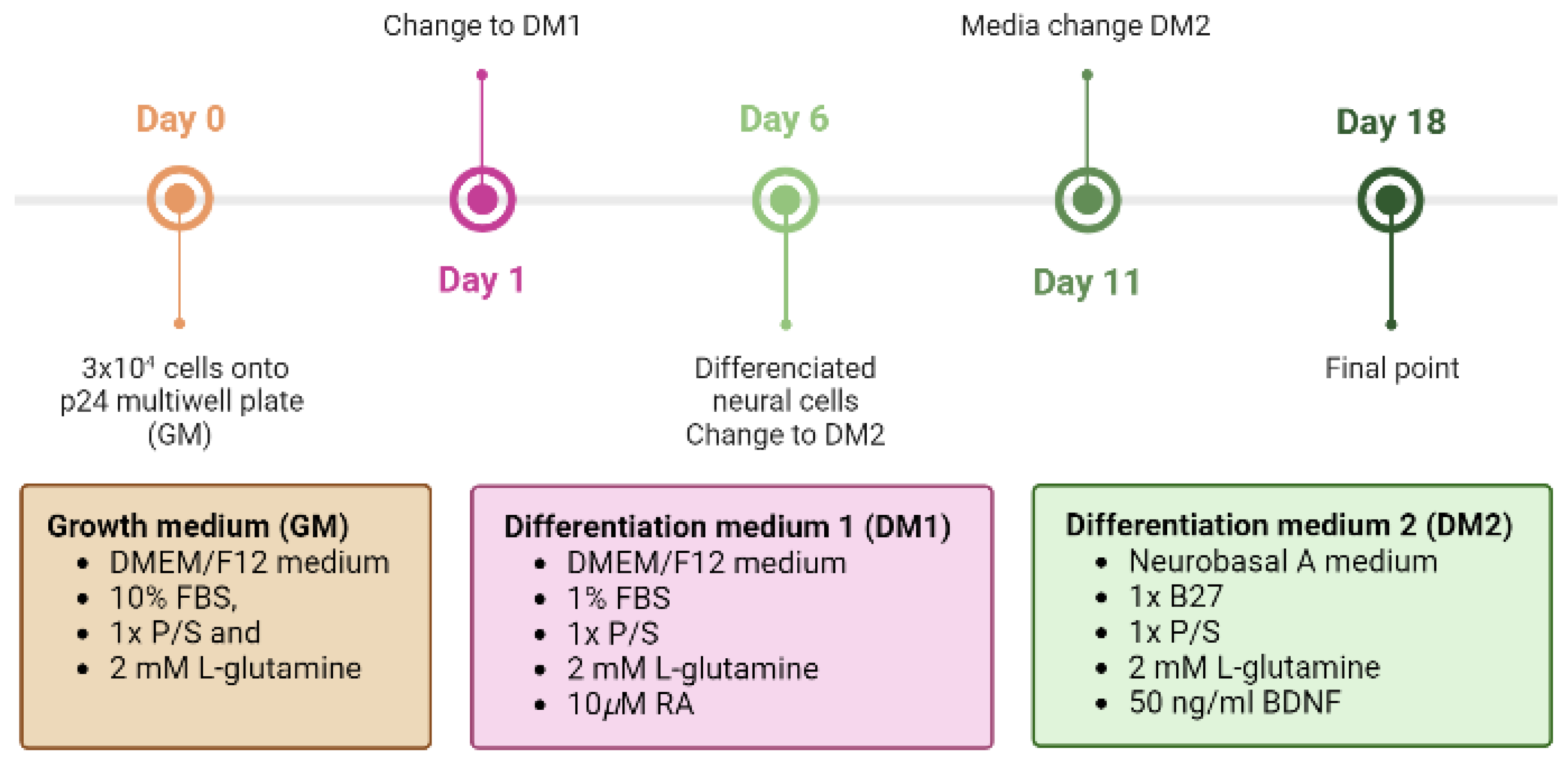 Biomimetics 08 00065 g006