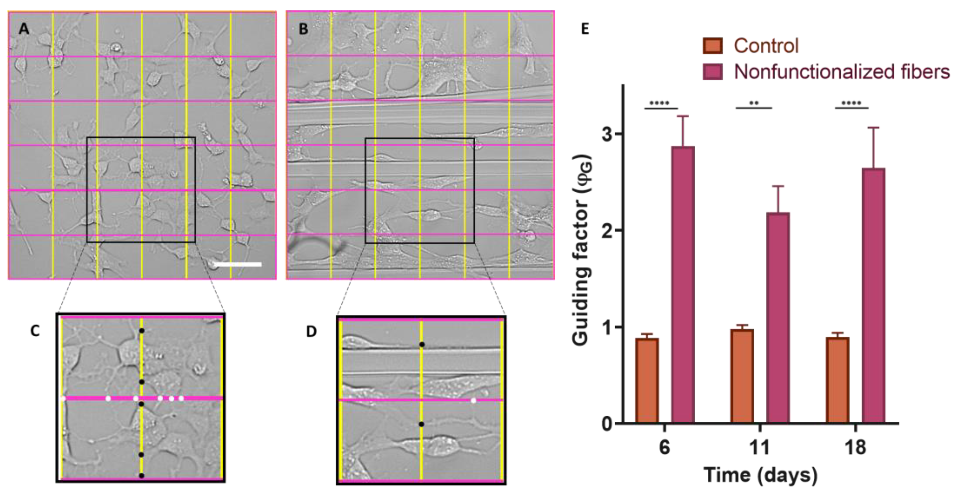 Biomimetics 08 00065 g008