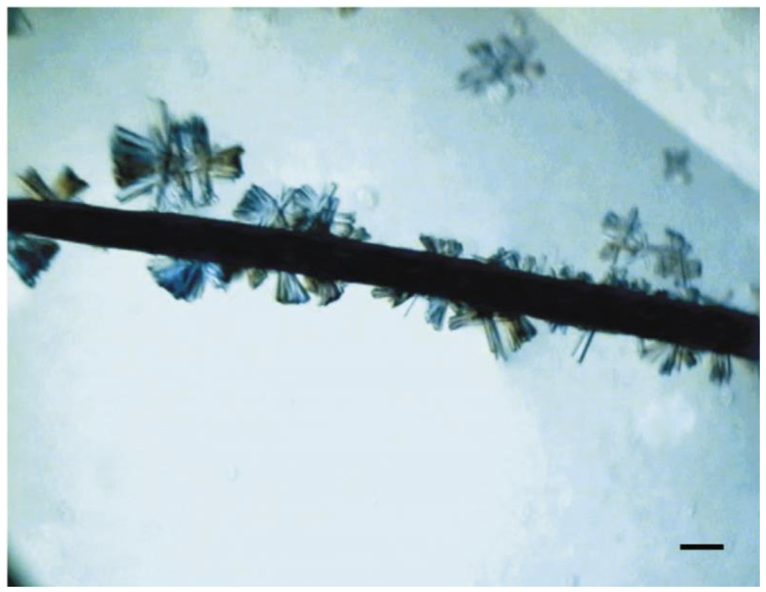 Biomimetics 08 00068 g002 Biomimetics 08 00068 g002