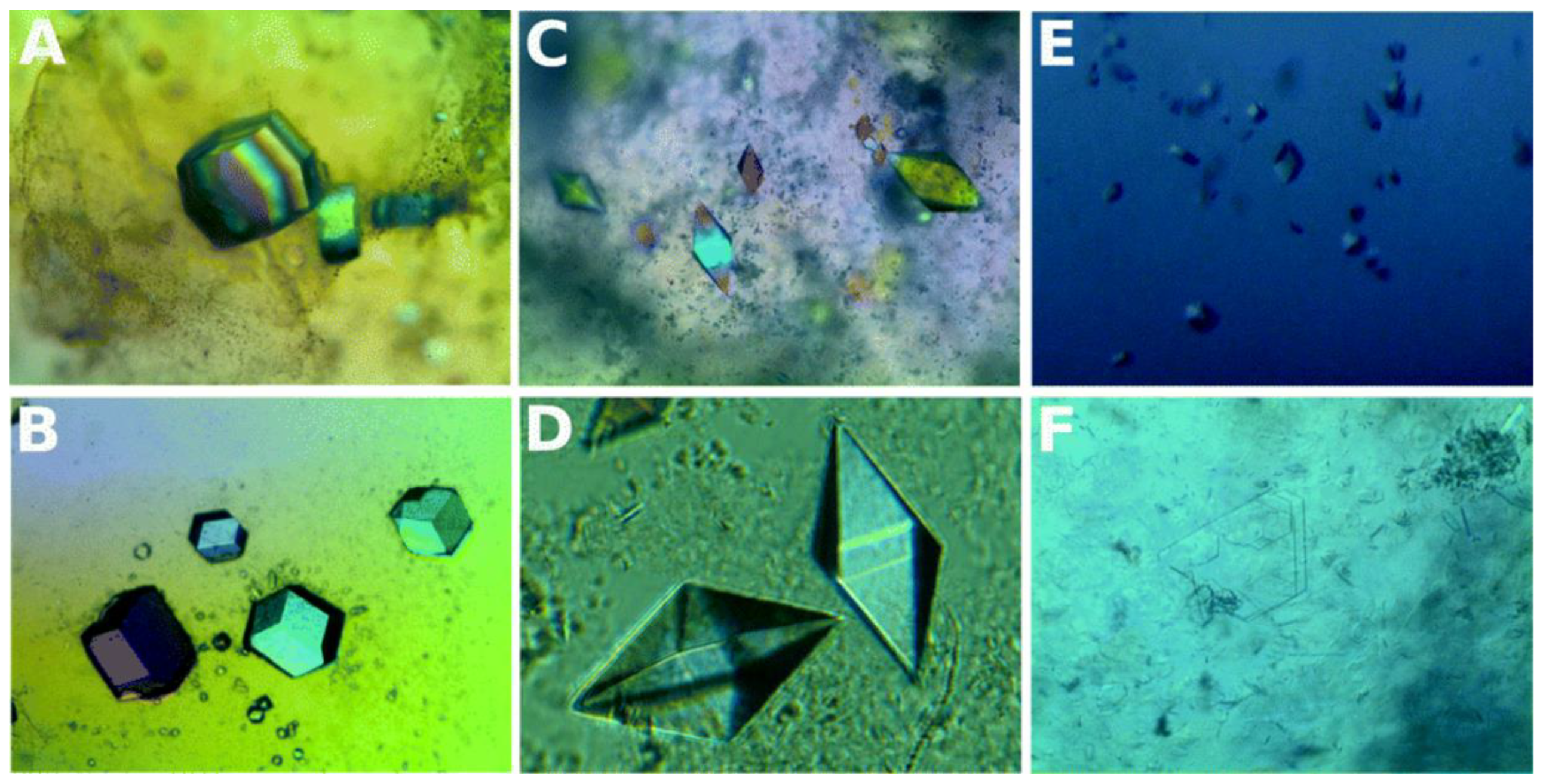 Biomimetics 08 00068 g003 Biomimetics 08 00068 g003