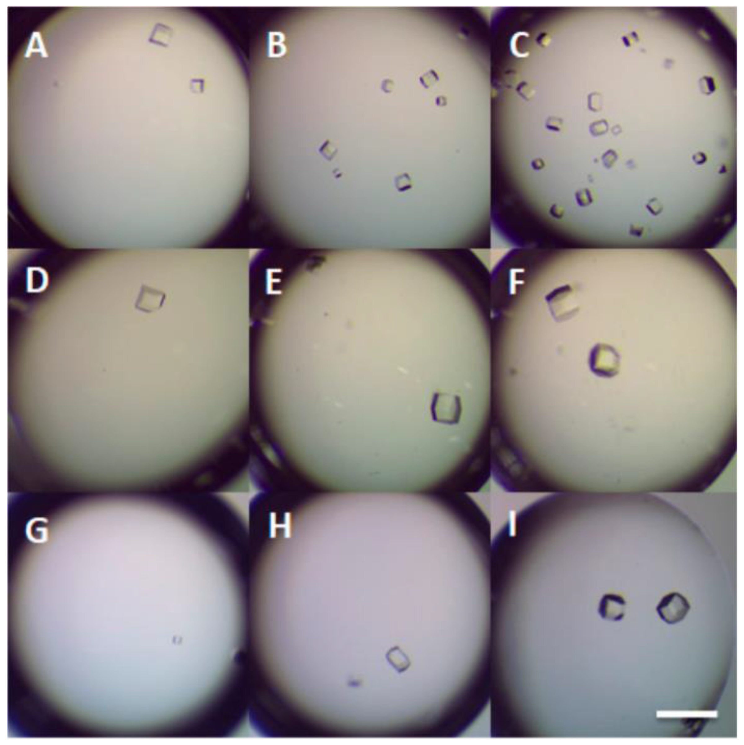 Biomimetics 08 00068 g004 Biomimetics 08 00068 g004