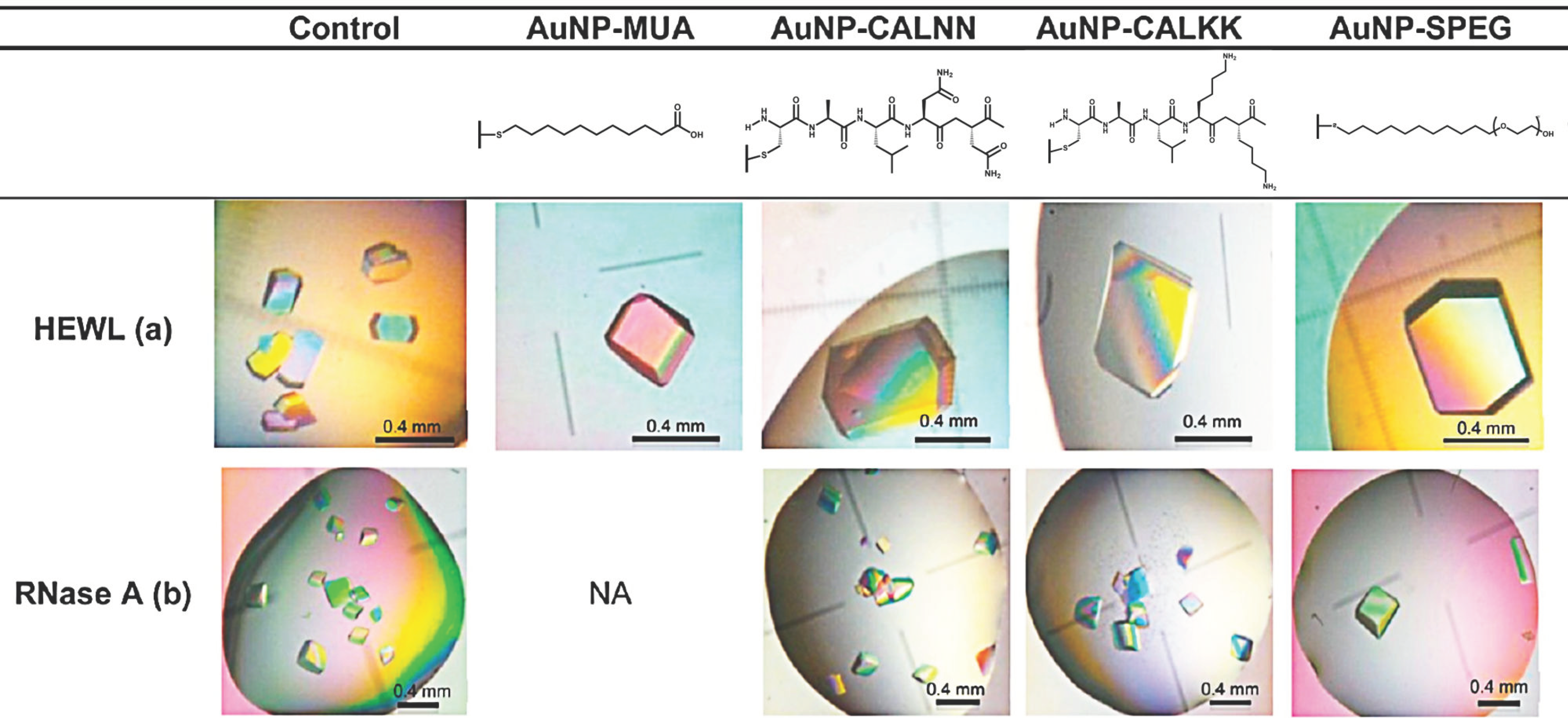 Biomimetics 08 00068 g006 Biomimetics 08 00068 g006