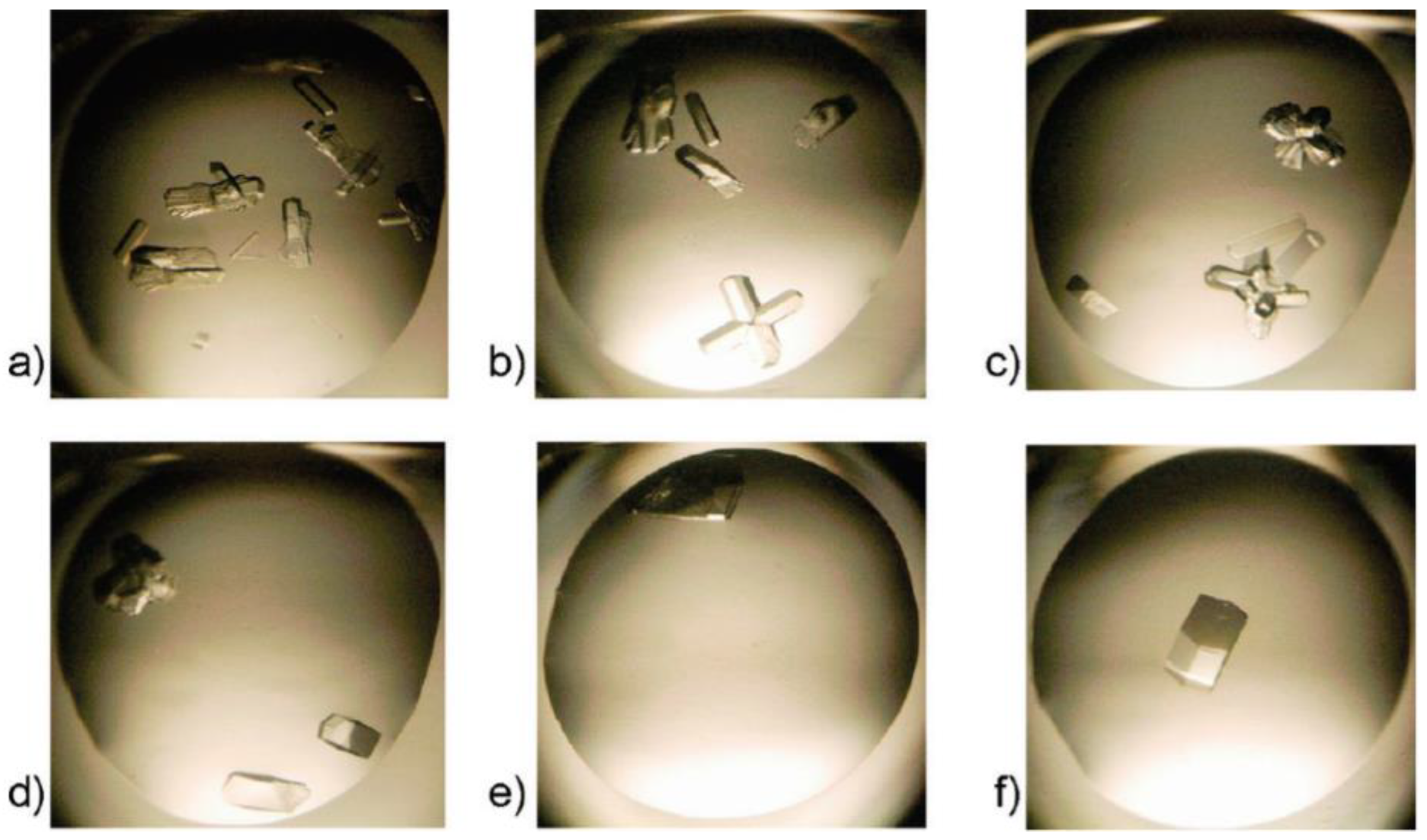 Biomimetics 08 00068 g007 Biomimetics 08 00068 g007