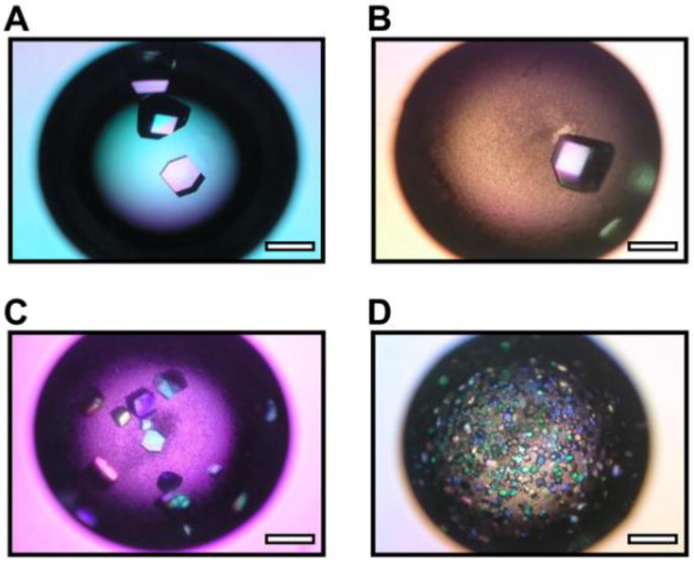 Biomimetics 08 00068 g010 Biomimetics 08 00068 g010