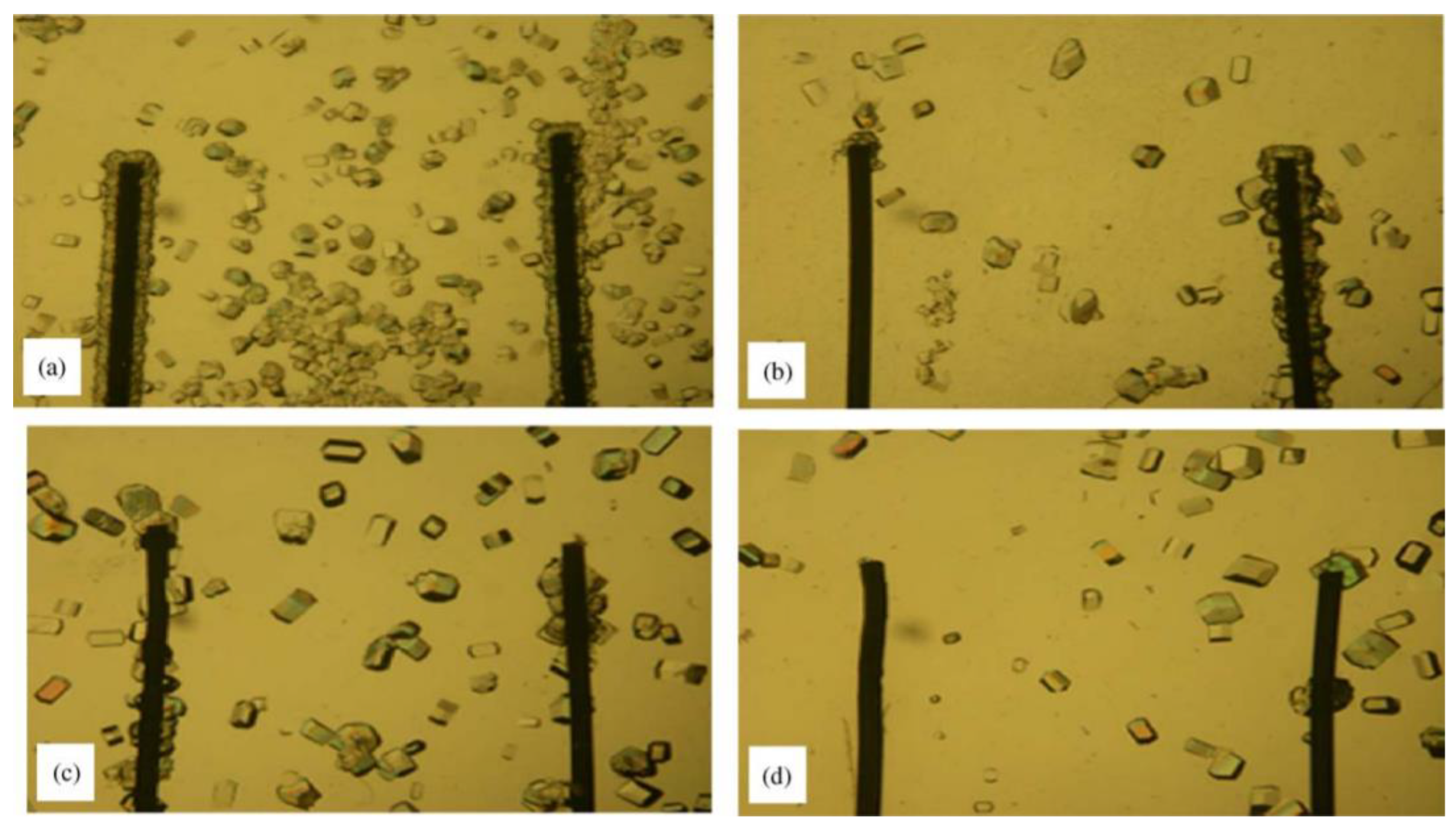 Biomimetics 08 00068 g012 Biomimetics 08 00068 g012