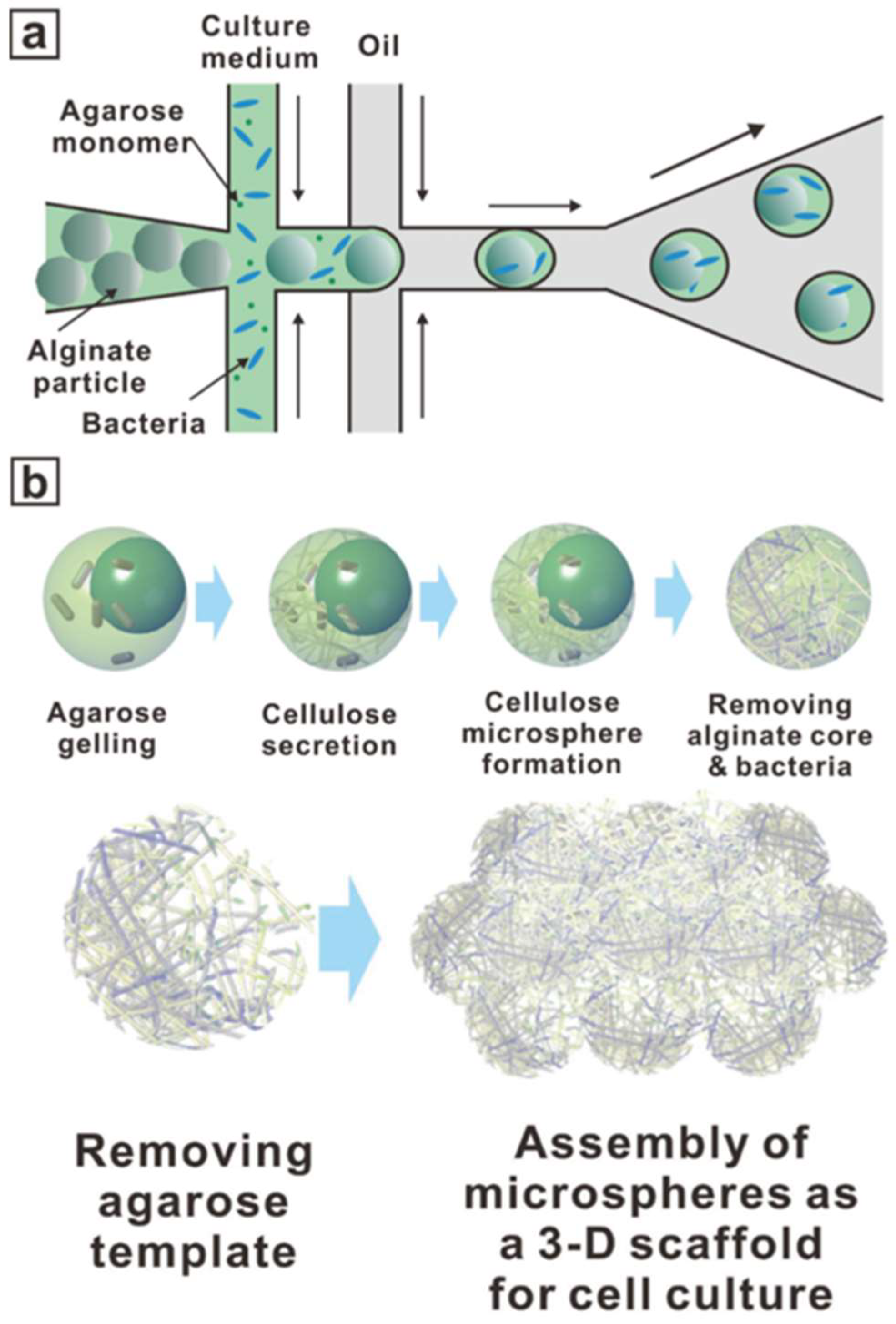 Biomimetics 08 00074 g008