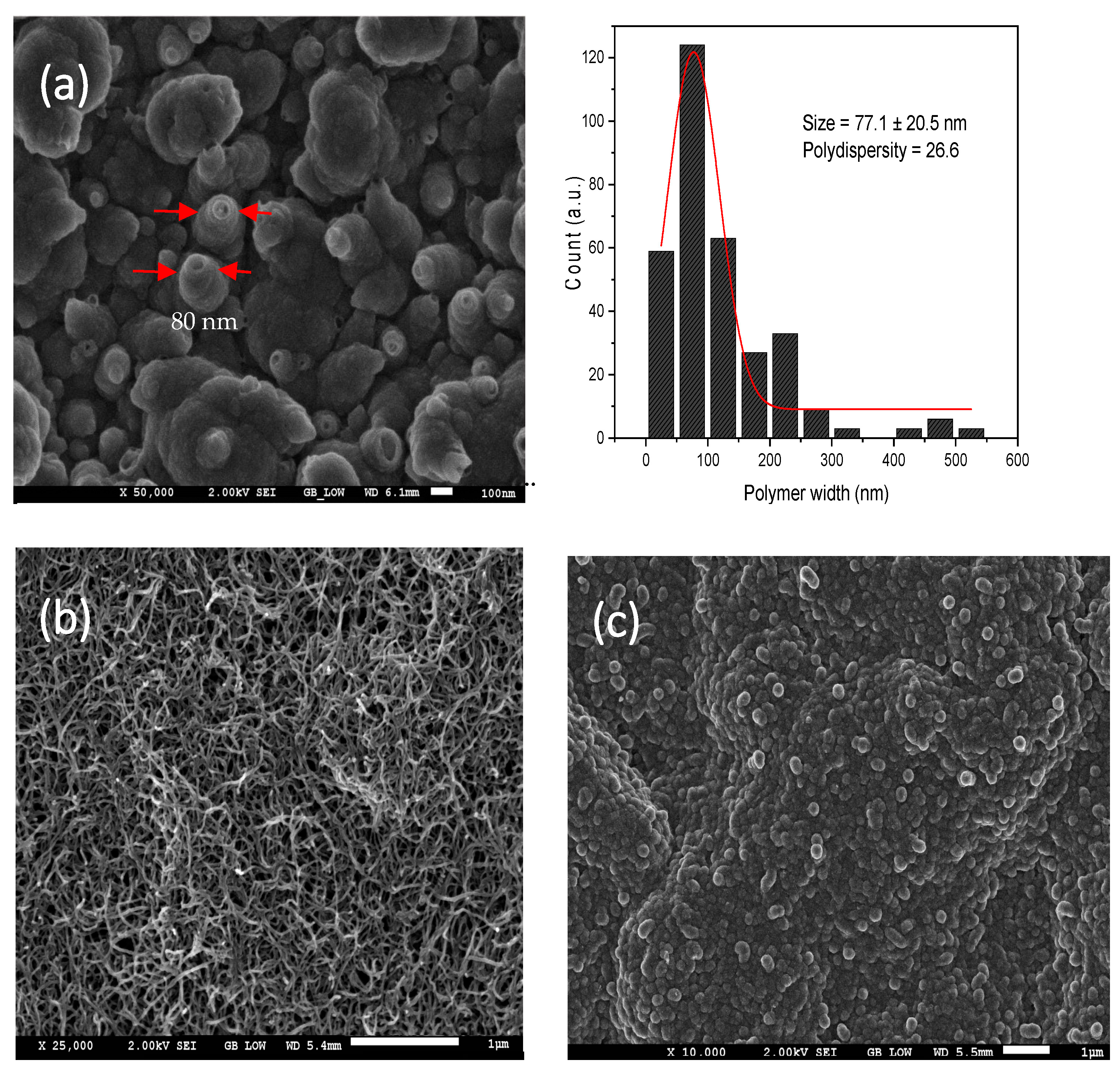Biomimetics 08 00077 g007 Biomimetics 08 00077 g007