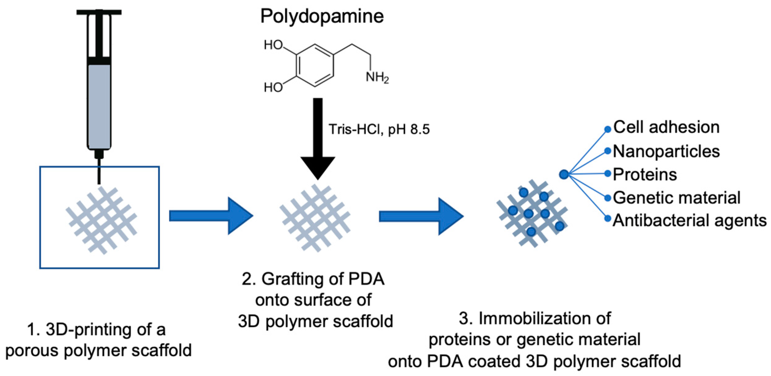 Biomimetics 08 00078 g003