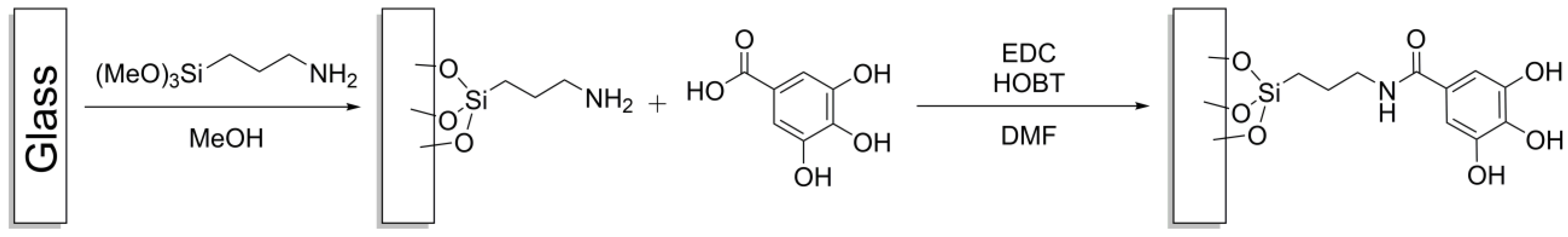 Biomimetics 08 00079 g003