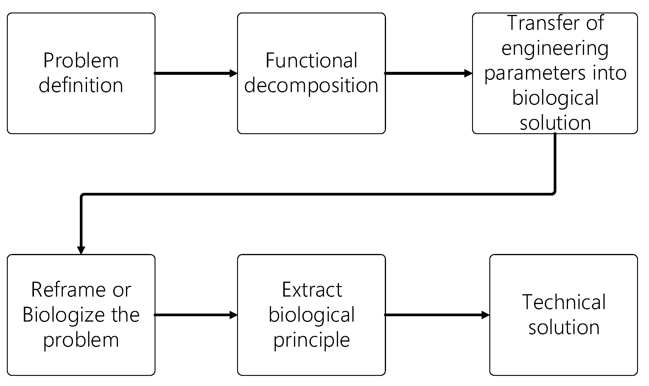Biomimetics 08 00080 g001