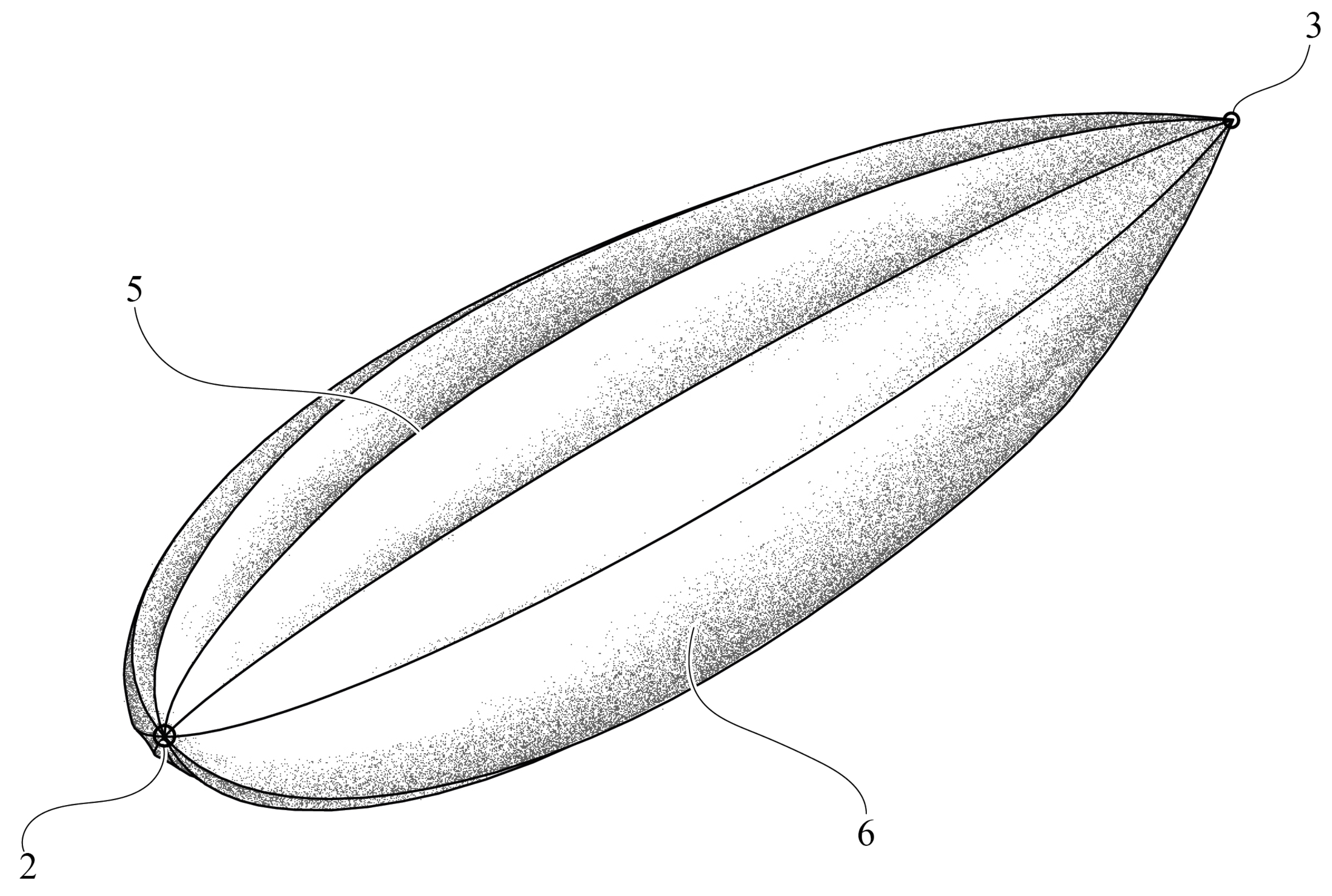 Biomimetics 08 00080 g016