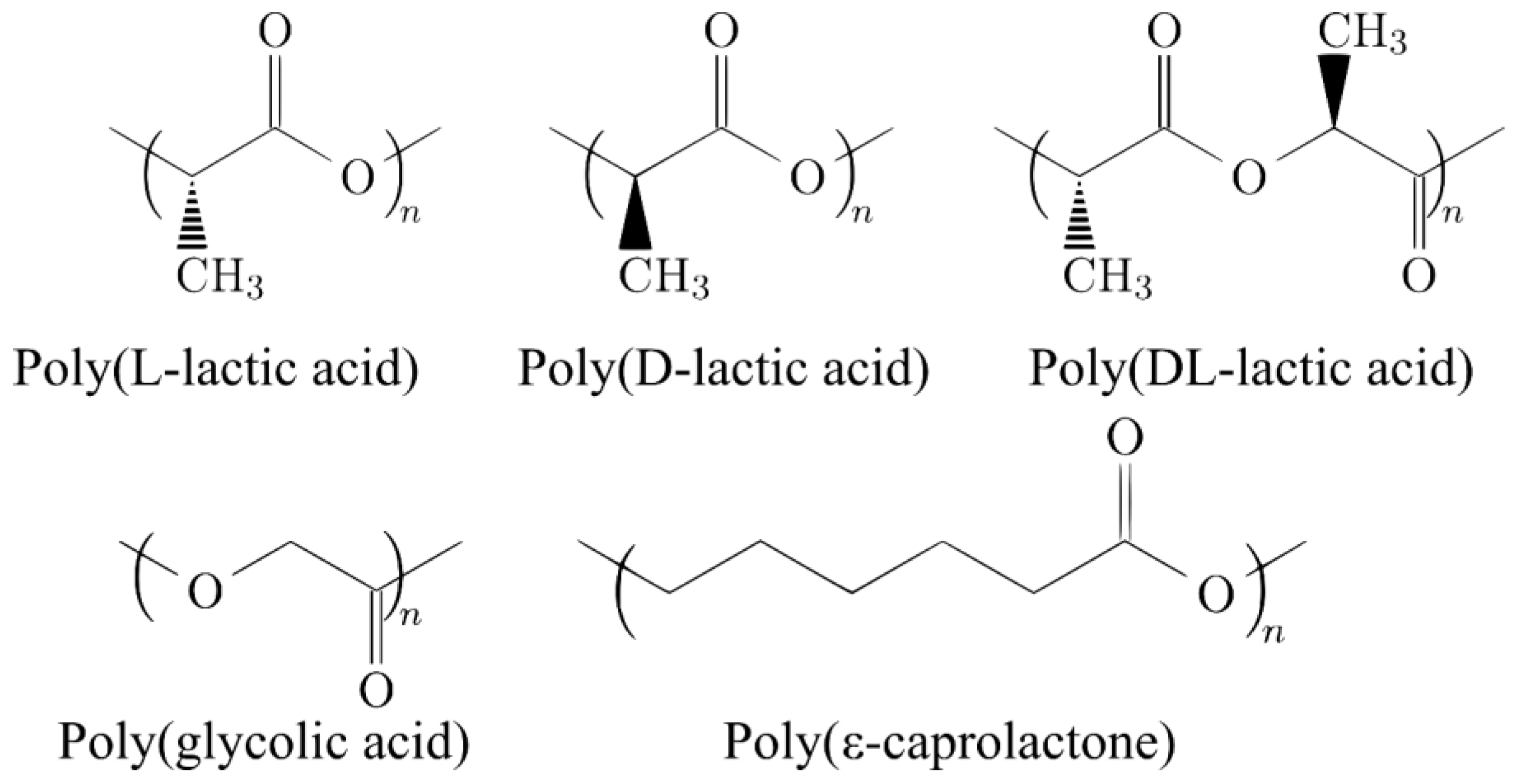 Biomimetics 08 00081 g001