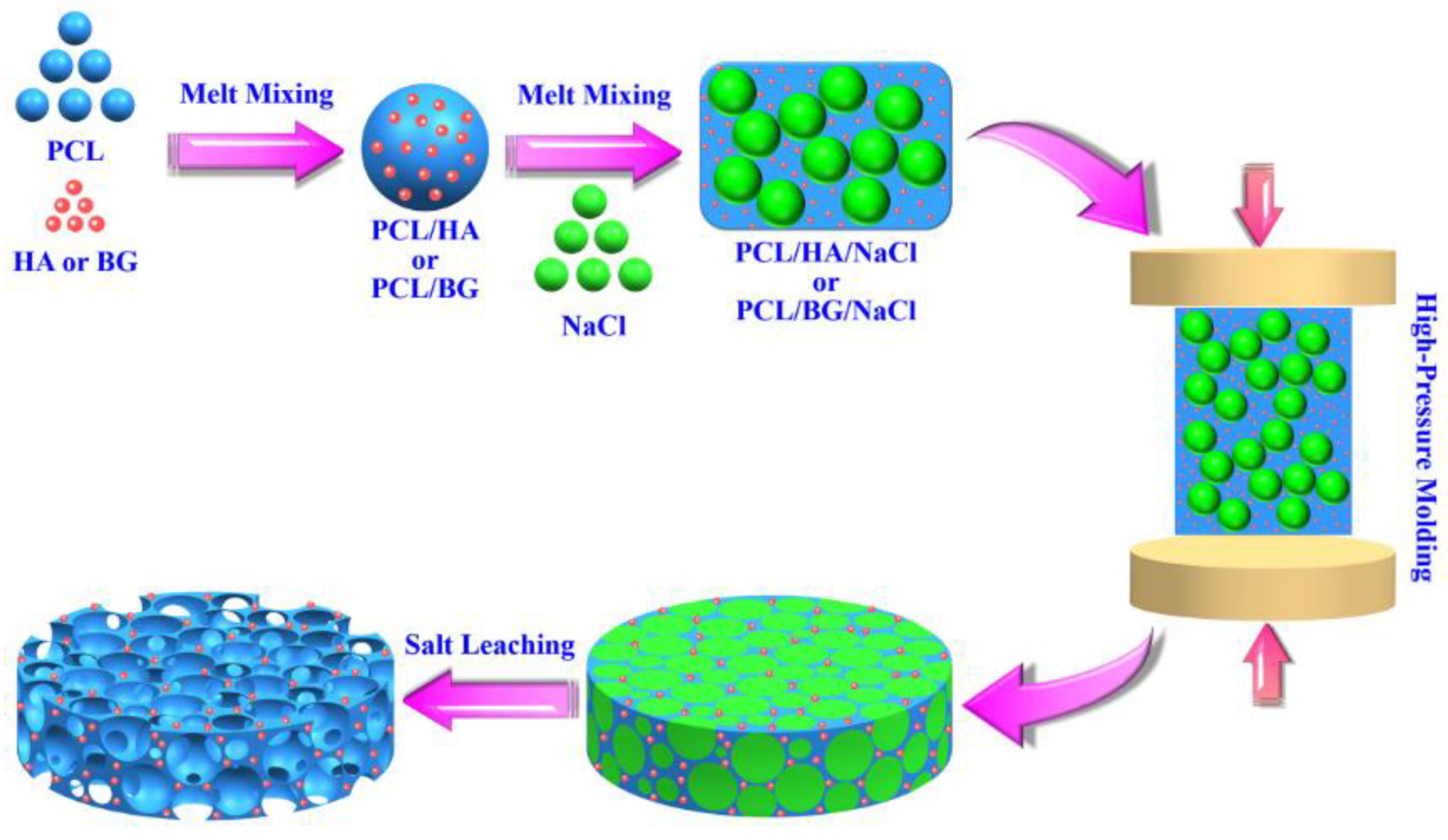 Biomimetics 08 00081 g007