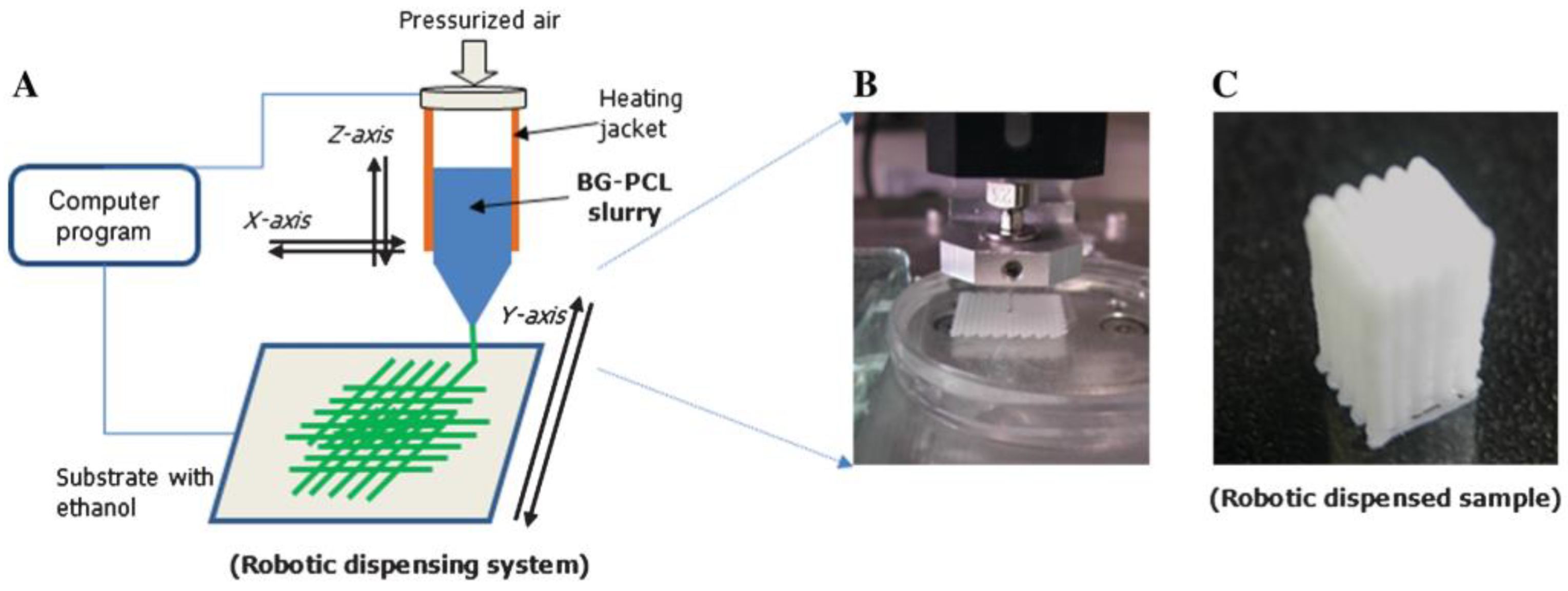 Biomimetics 08 00081 g009