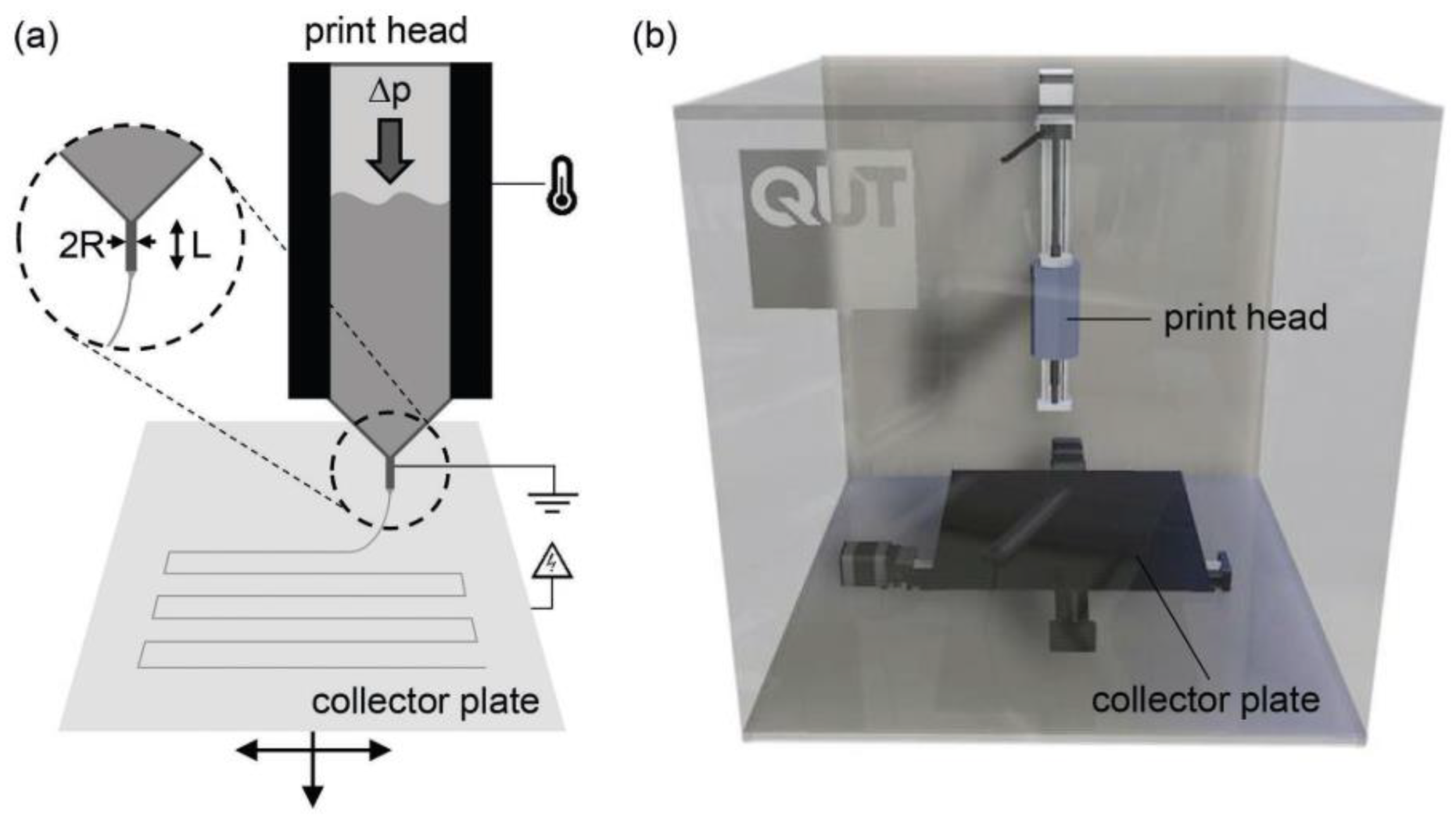 Biomimetics 08 00081 g011a