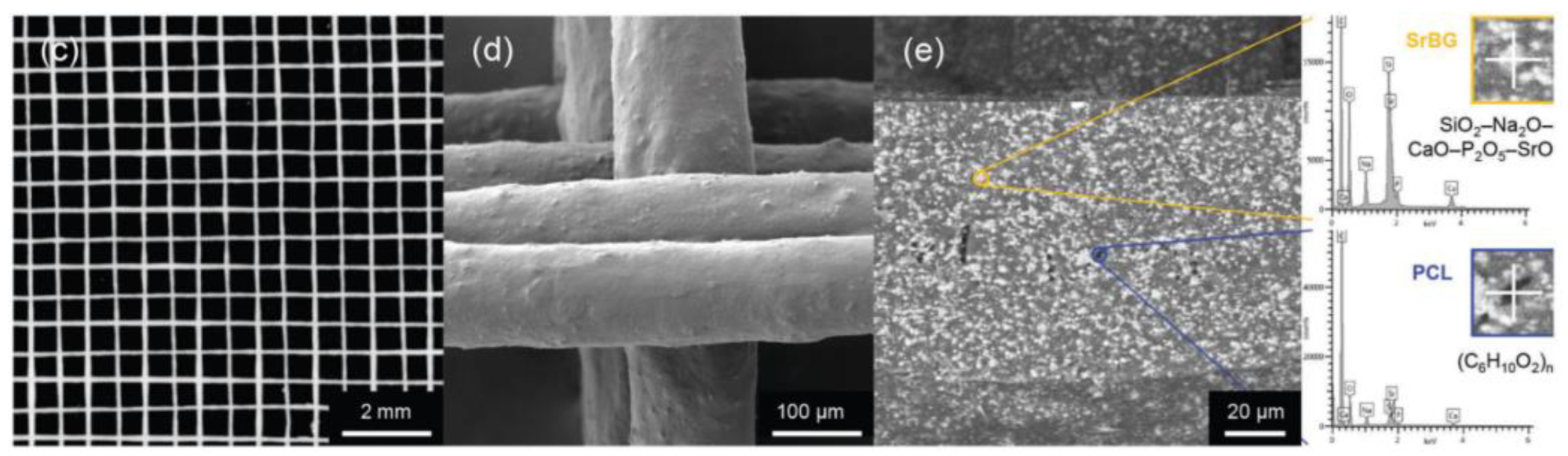 Biomimetics 08 00081 g011b
