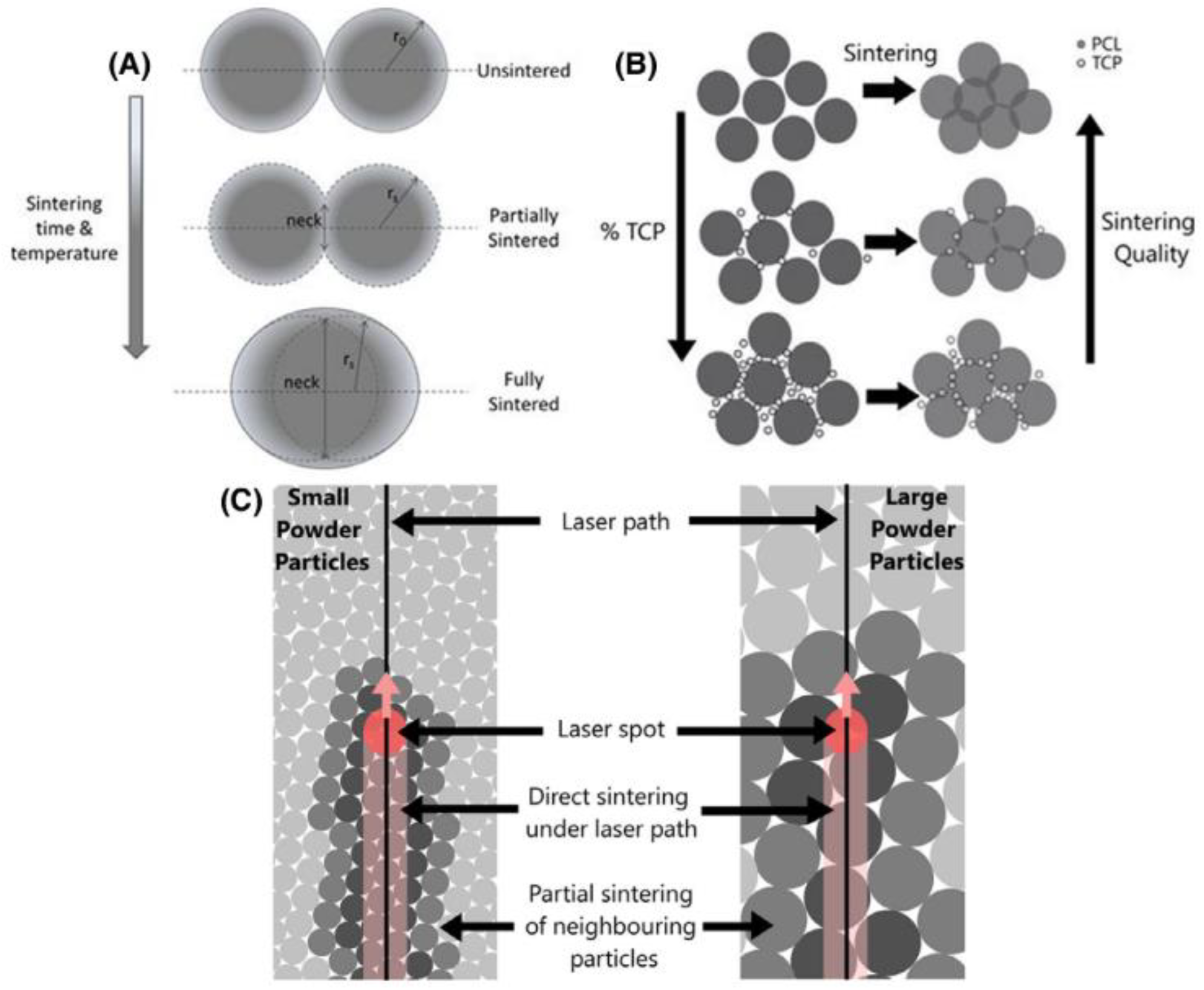 Biomimetics 08 00081 g012