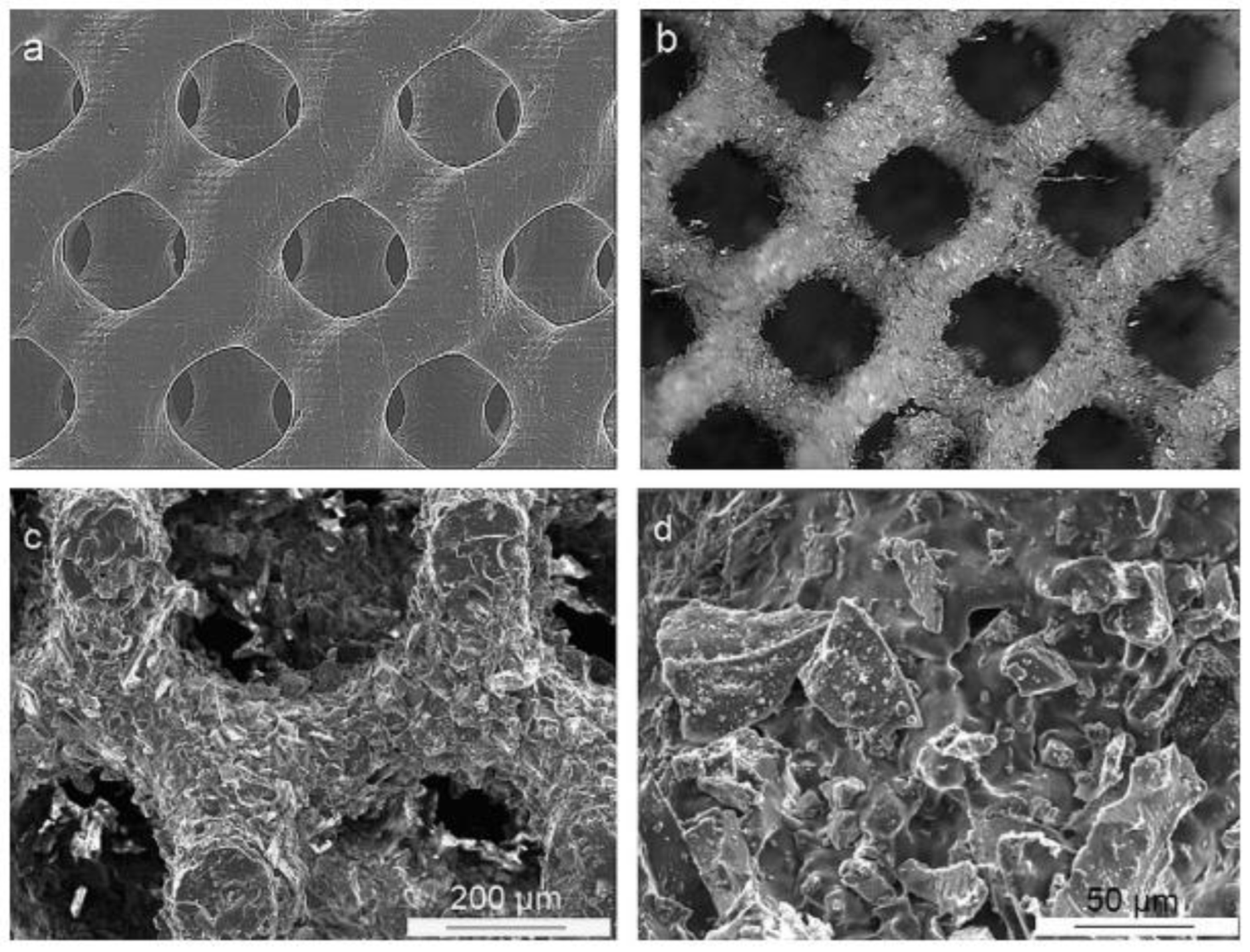 Biomimetics 08 00081 g014