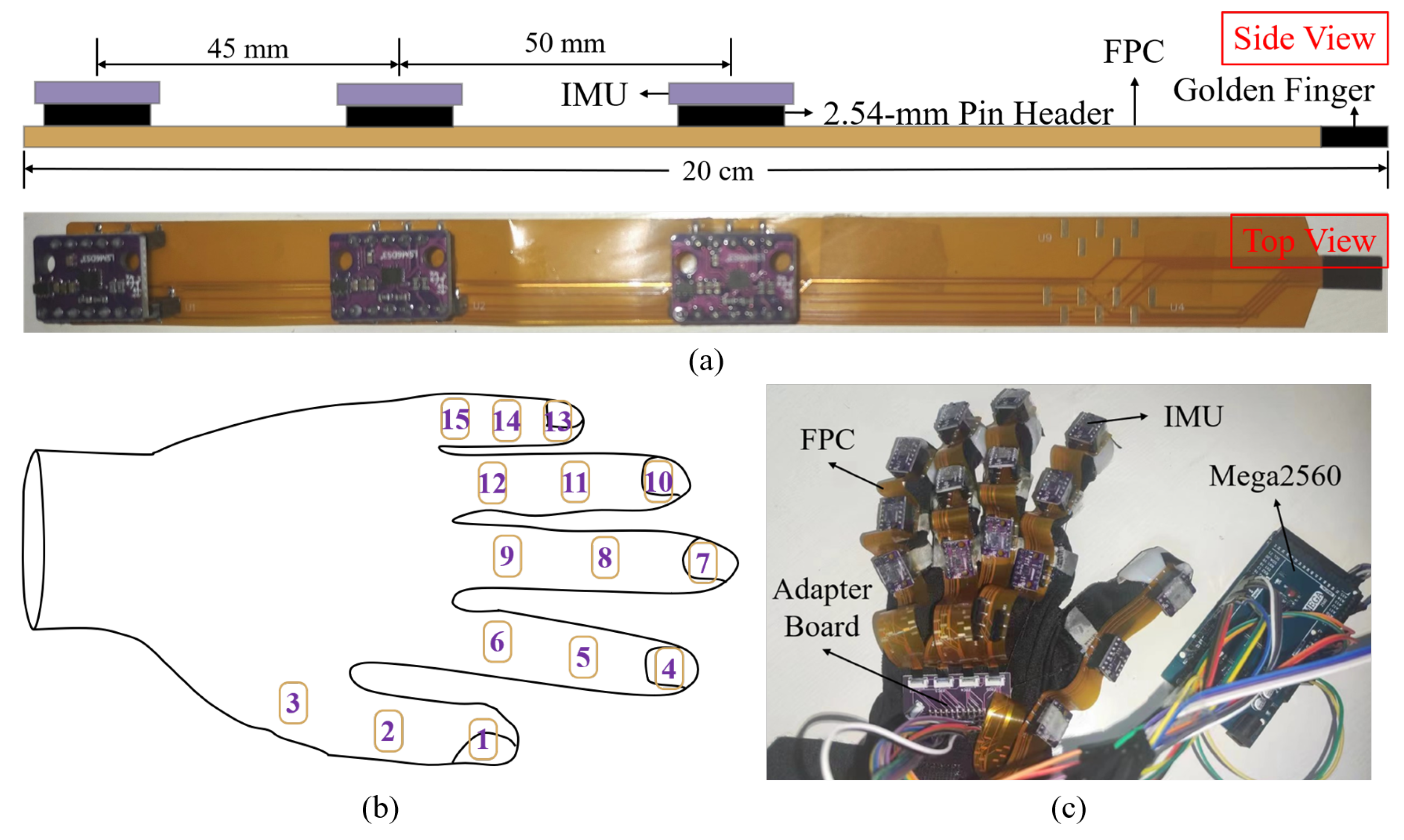 Biomimetics 08 00083 g002
