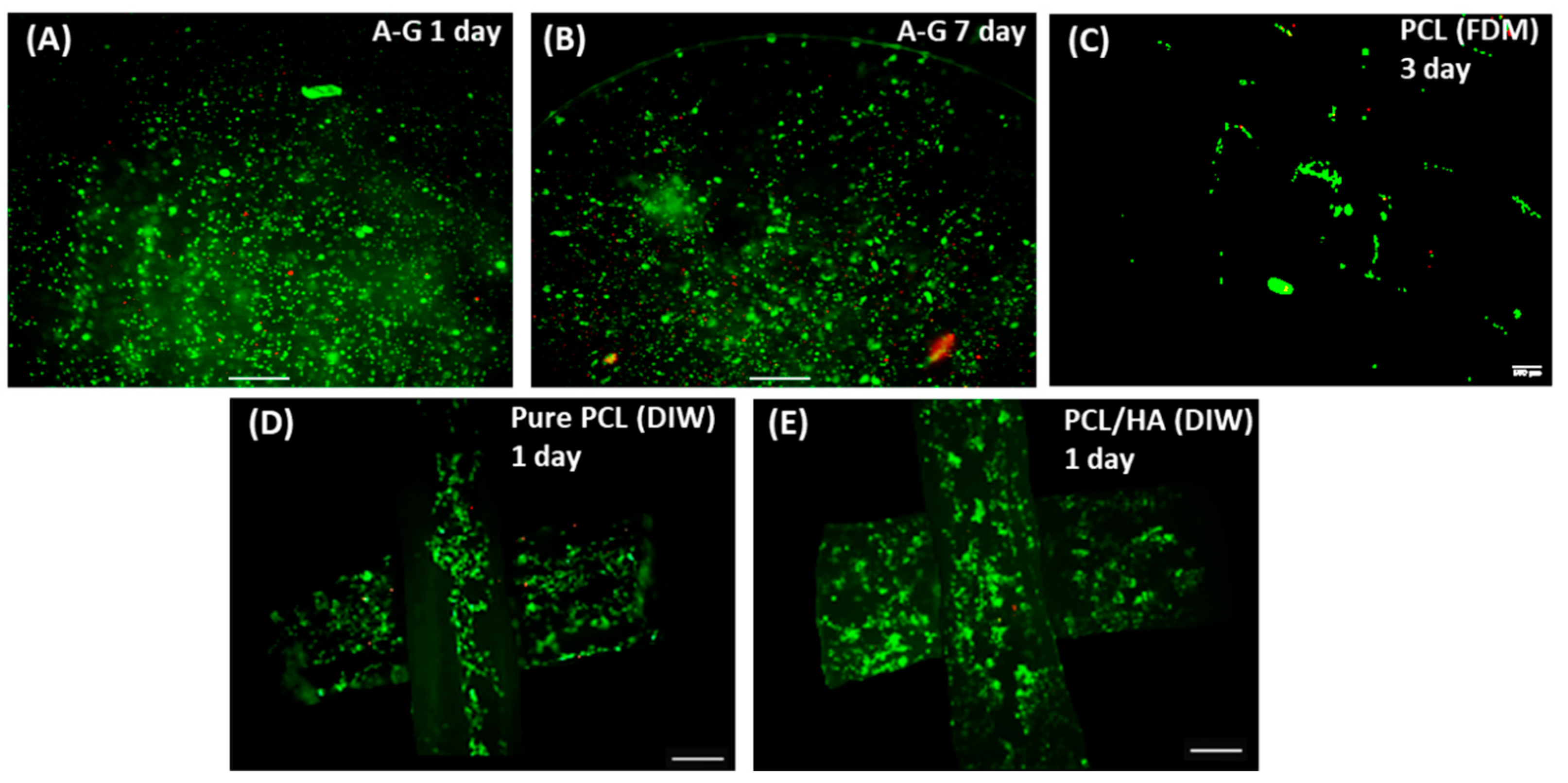 Biomimetics 08 00087 g004 Biomimetics 08 00087 g004