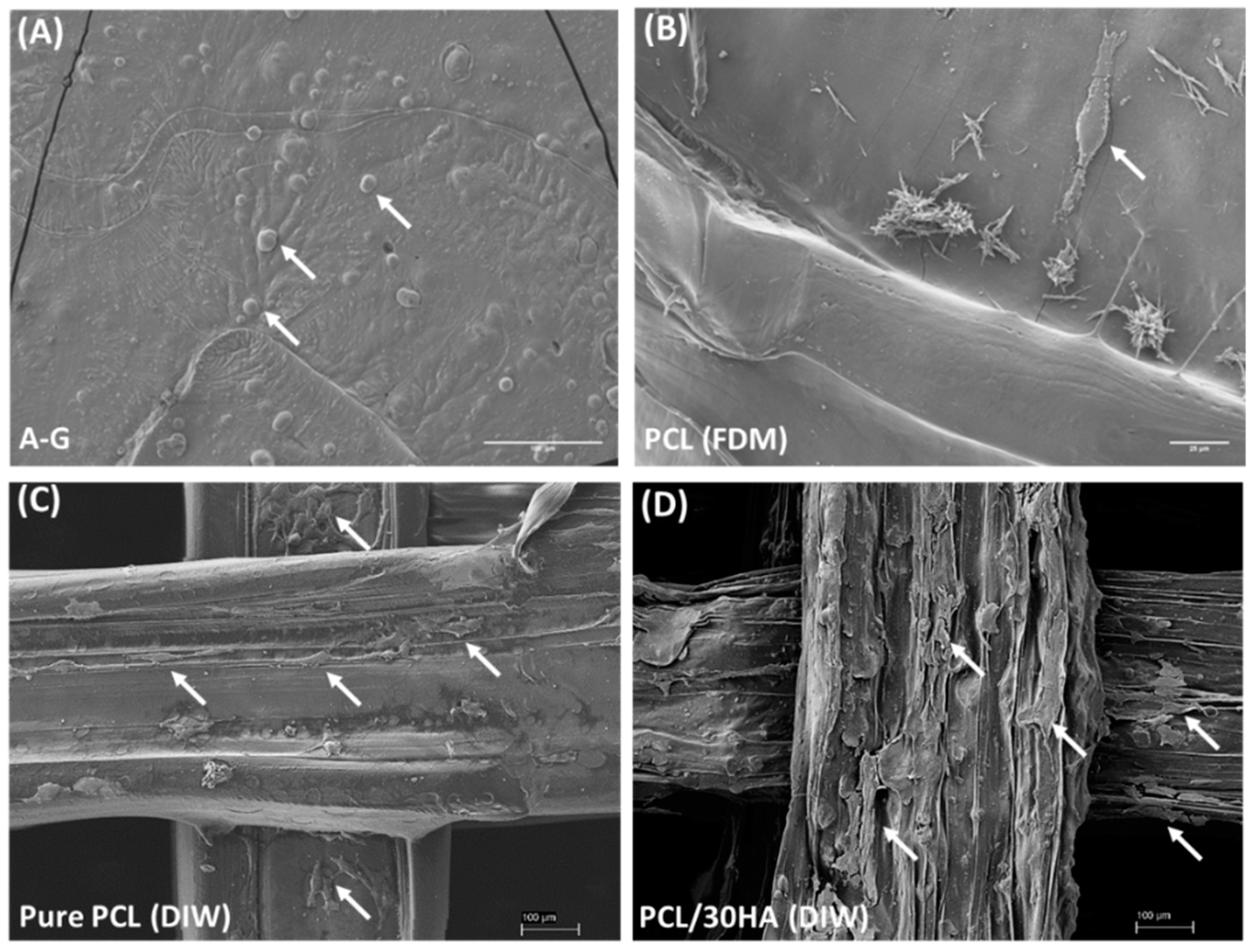 Biomimetics 08 00087 g007 Biomimetics 08 00087 g007