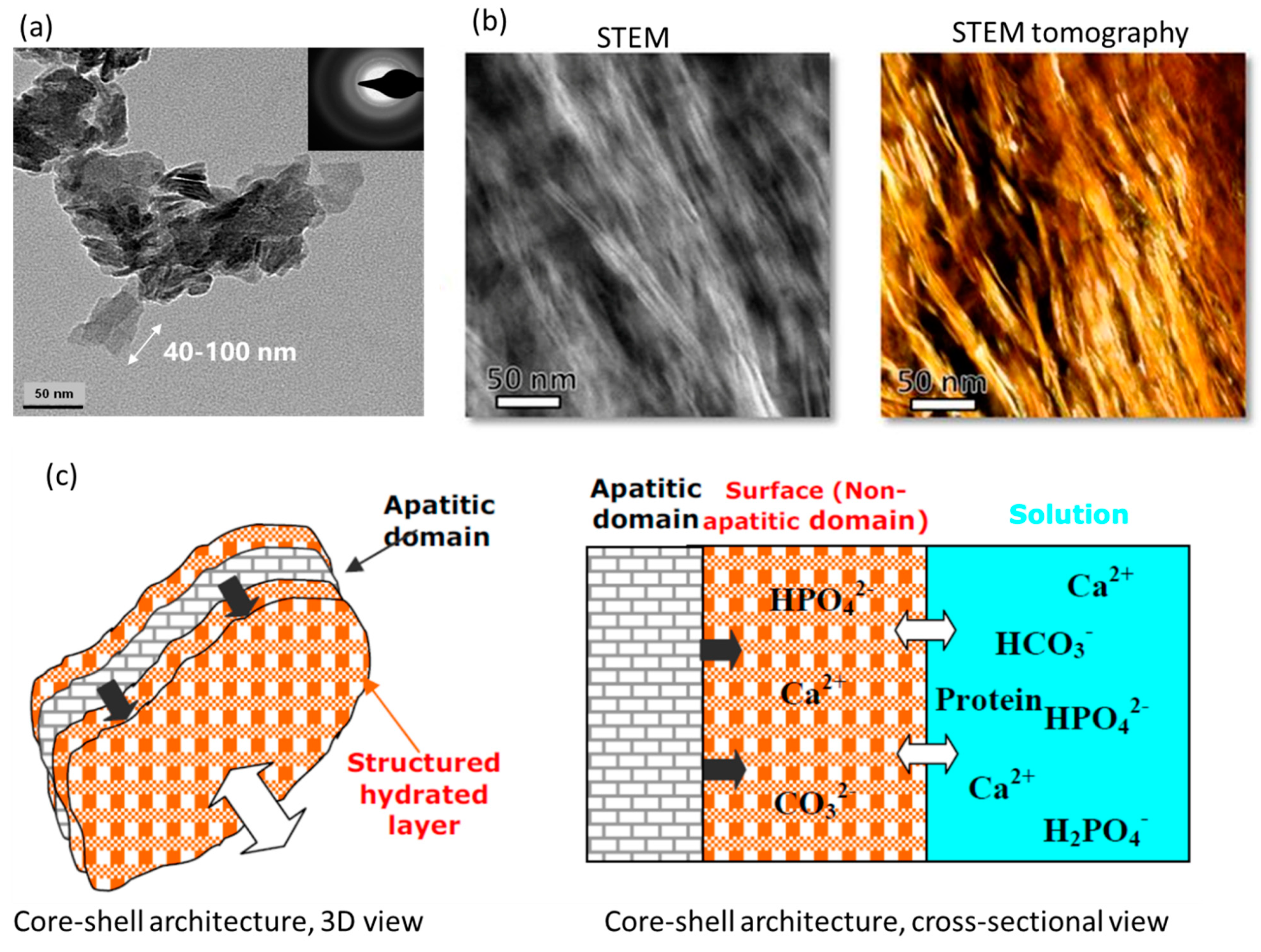 Biomimetics 08 00090 g003 Biomimetics 08 00090 g003