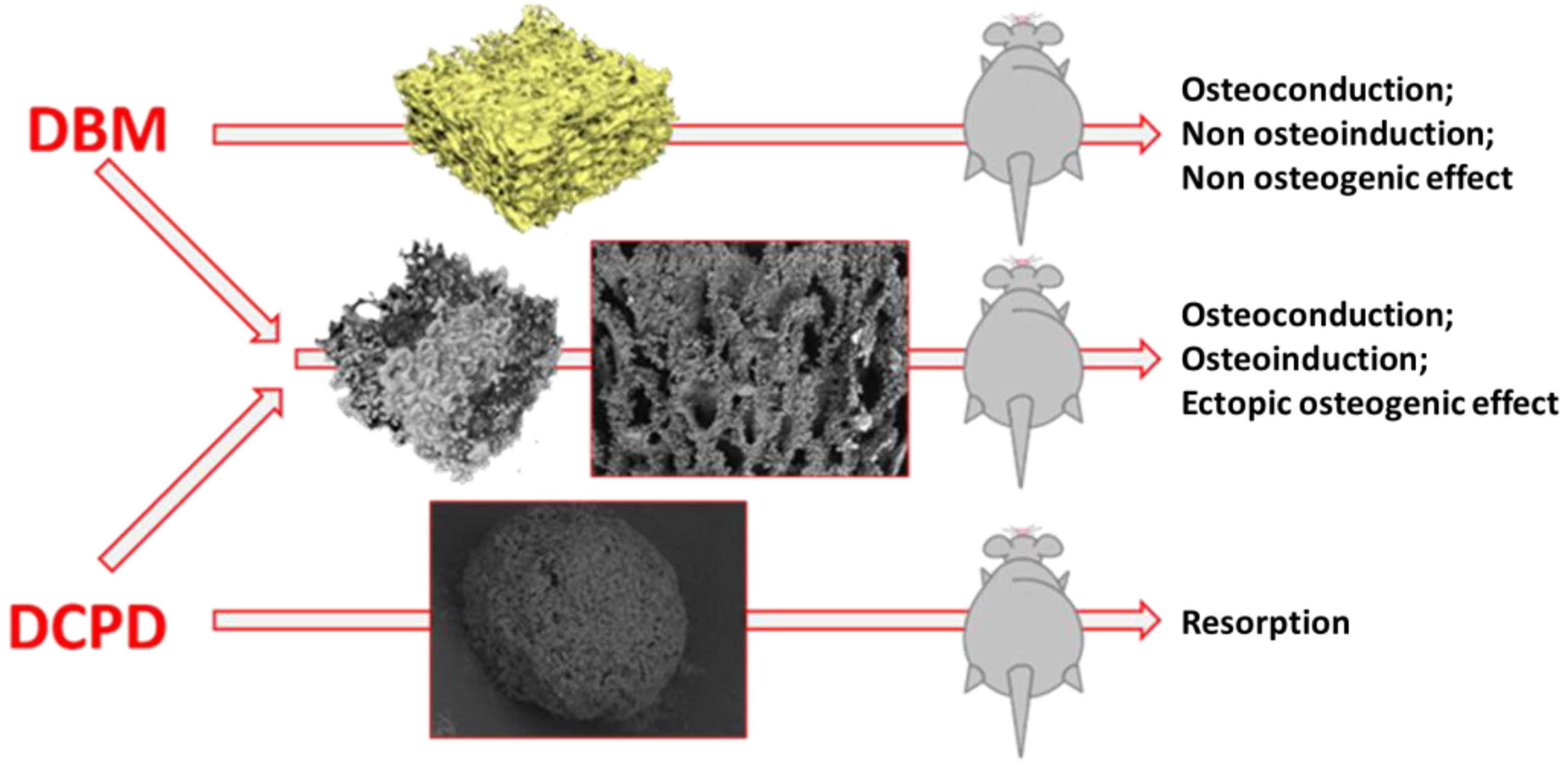 Biomimetics 08 00091 g001 Biomimetics 08 00091 g001