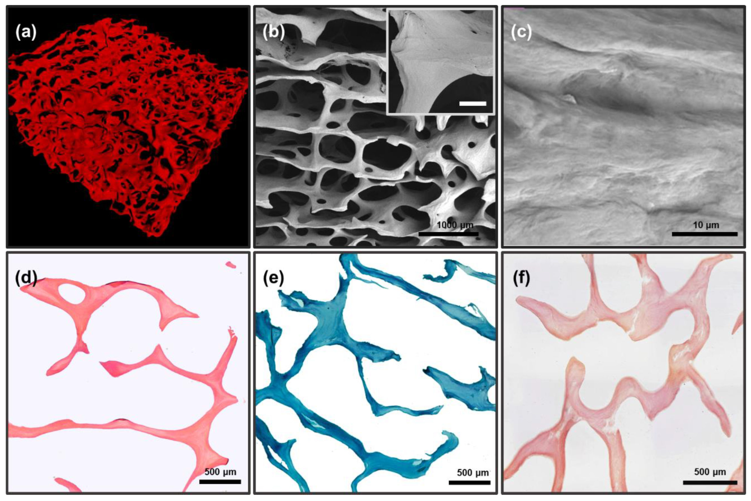 Biomimetics 08 00091 g003 Biomimetics 08 00091 g003