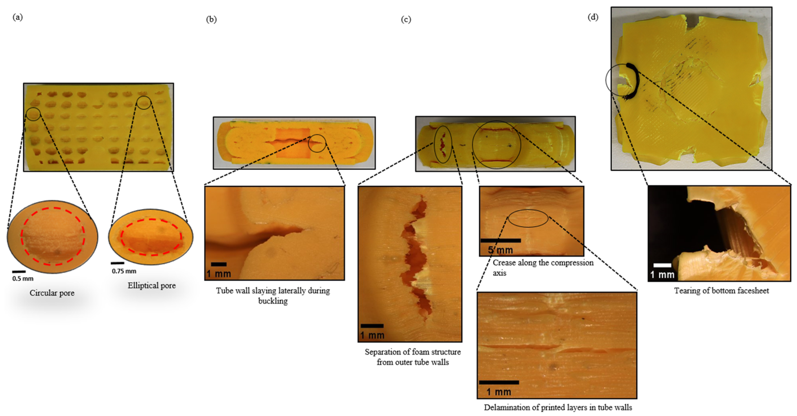 Biomimetics 08 00092 g010 Biomimetics 08 00092 g010