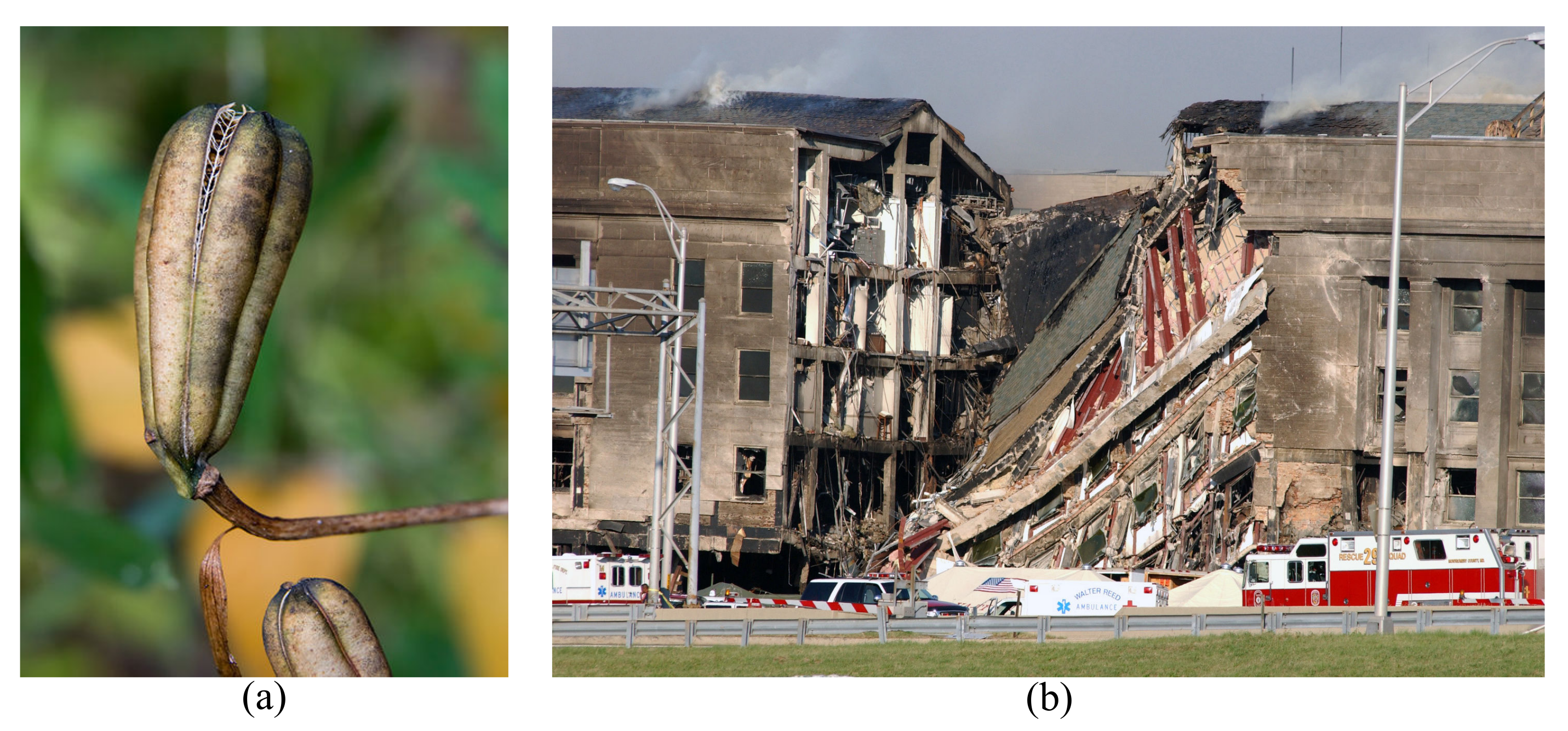 Biomimetics 08 00095 g001 Biomimetics 08 00095 g001