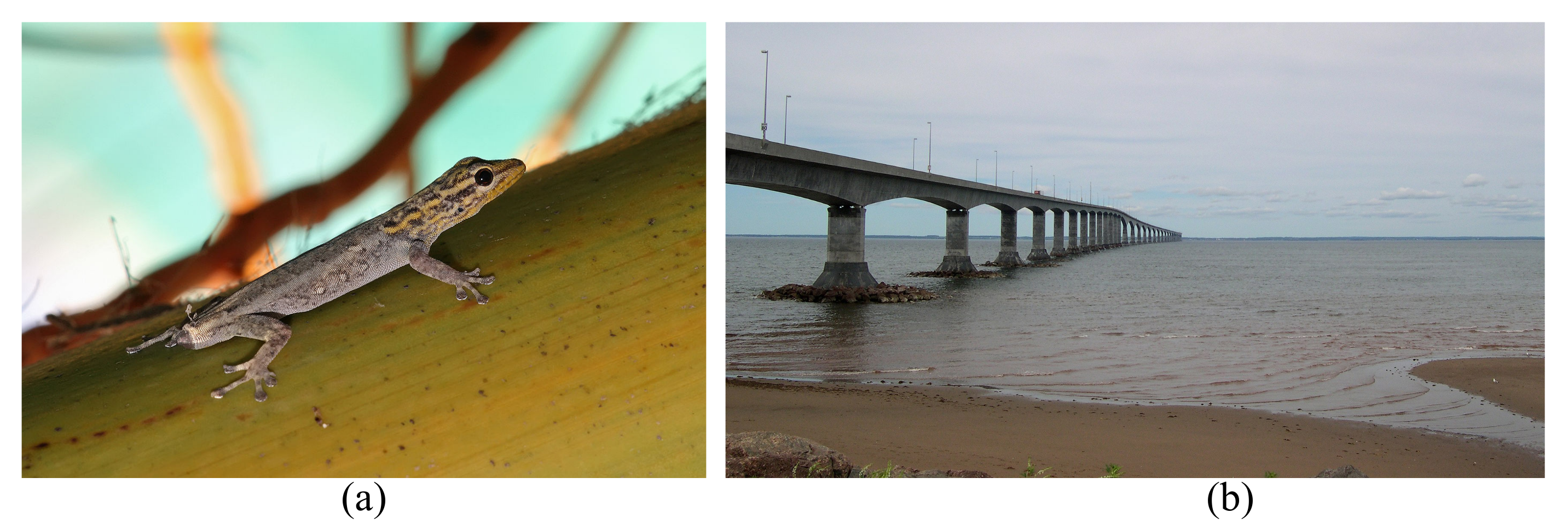 Biomimetics 08 00095 g002 Biomimetics 08 00095 g002