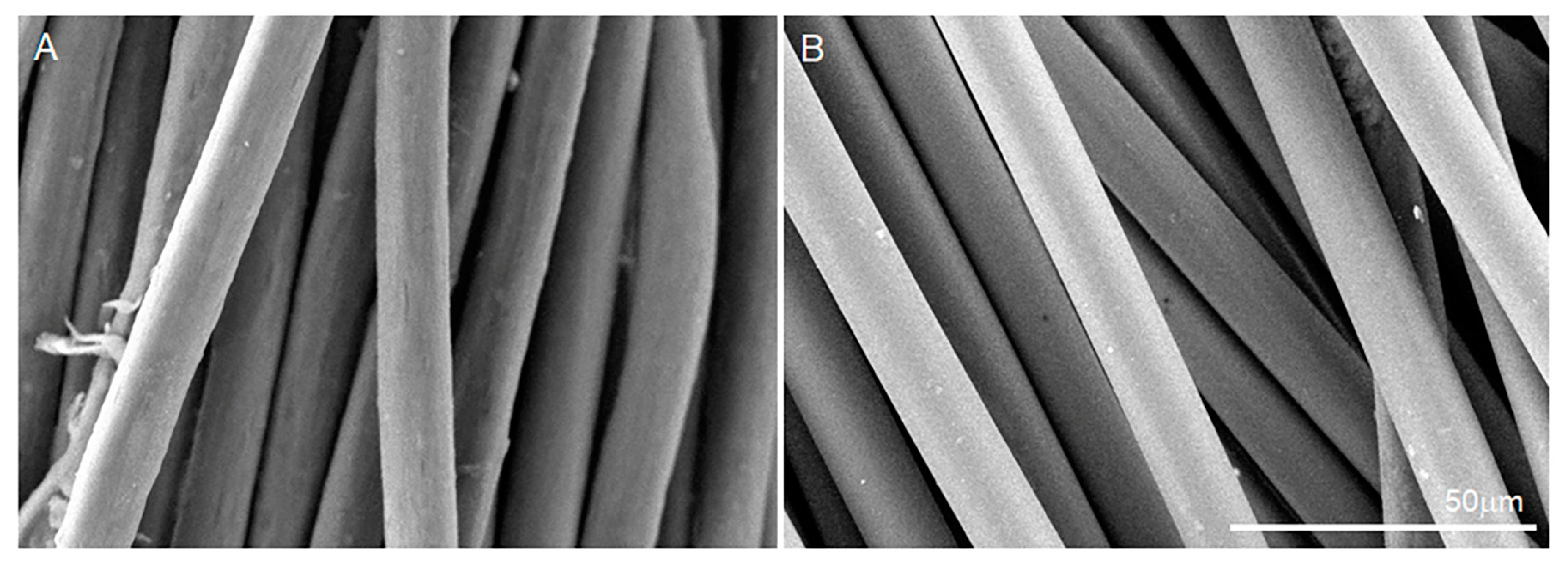 Biomimetics 08 00099 g001