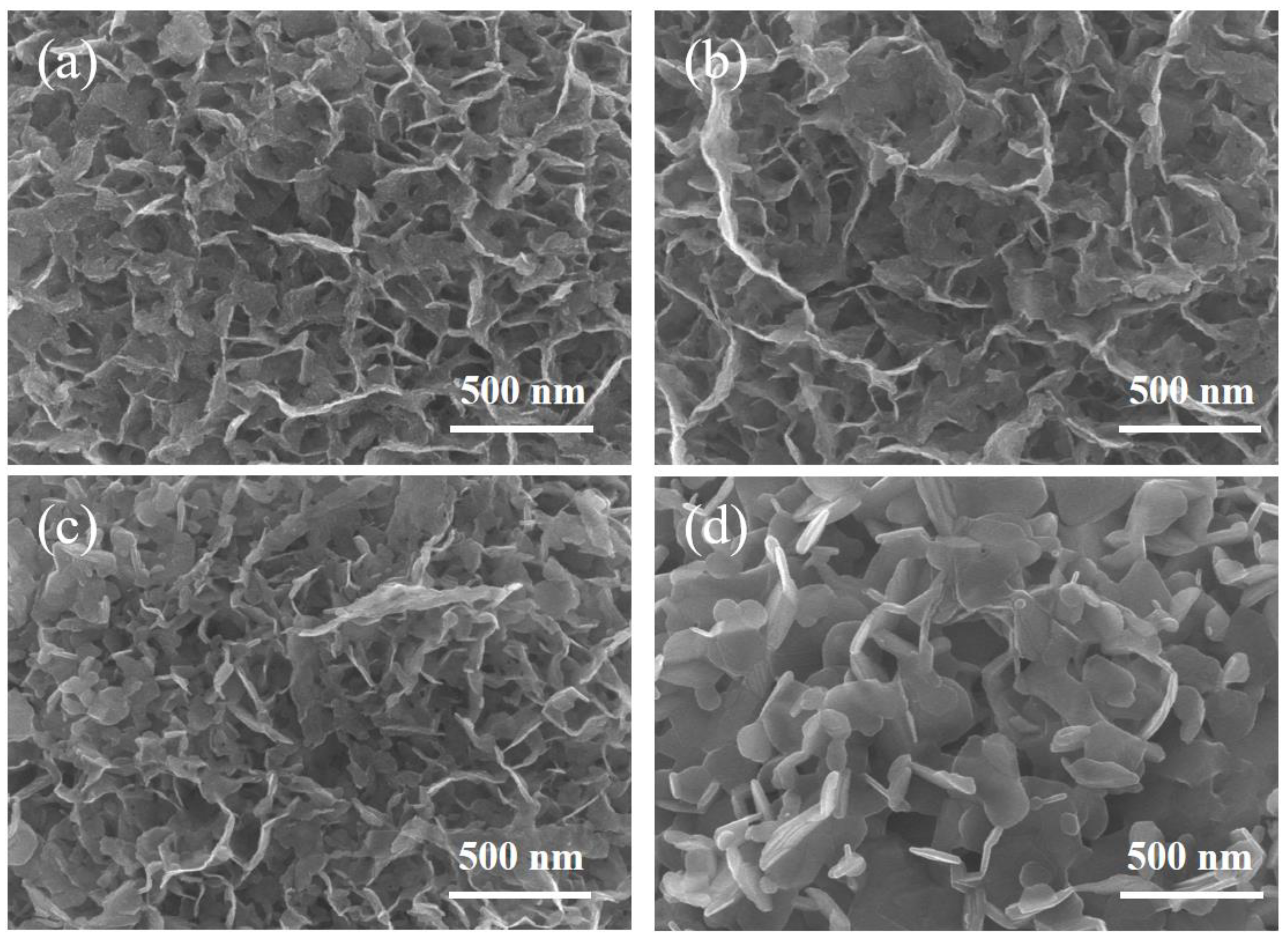 Biomimetics 08 00104 g004 Biomimetics 08 00104 g004