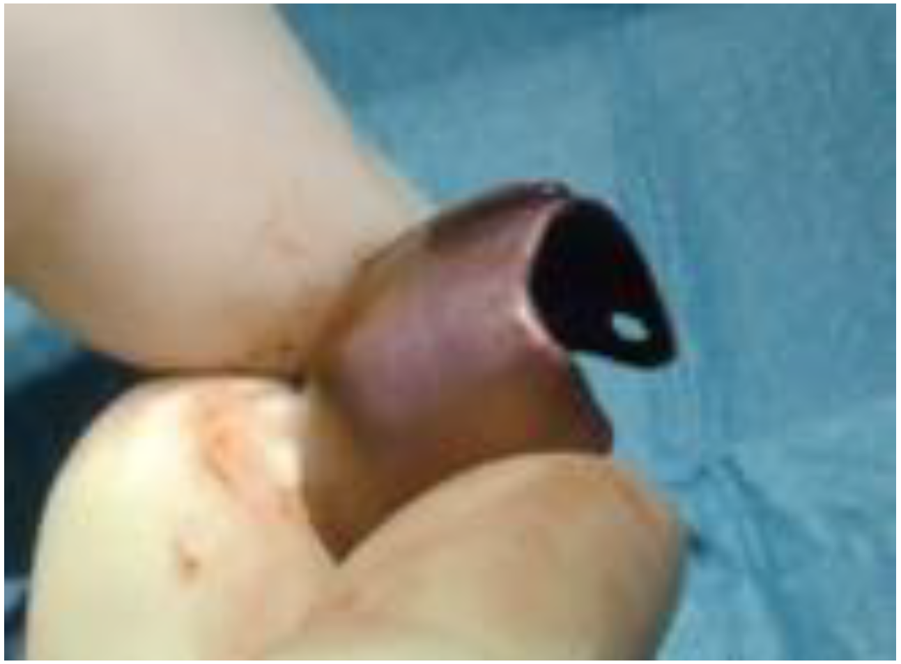 Biomimetics 08 00106 g005 Biomimetics 08 00106 g005