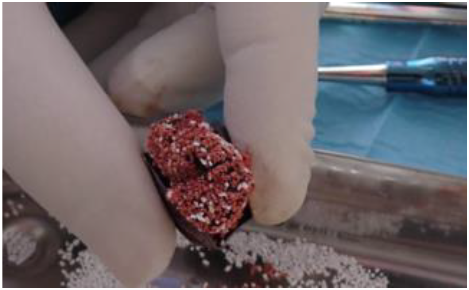 Biomimetics 08 00106 g006 Biomimetics 08 00106 g006