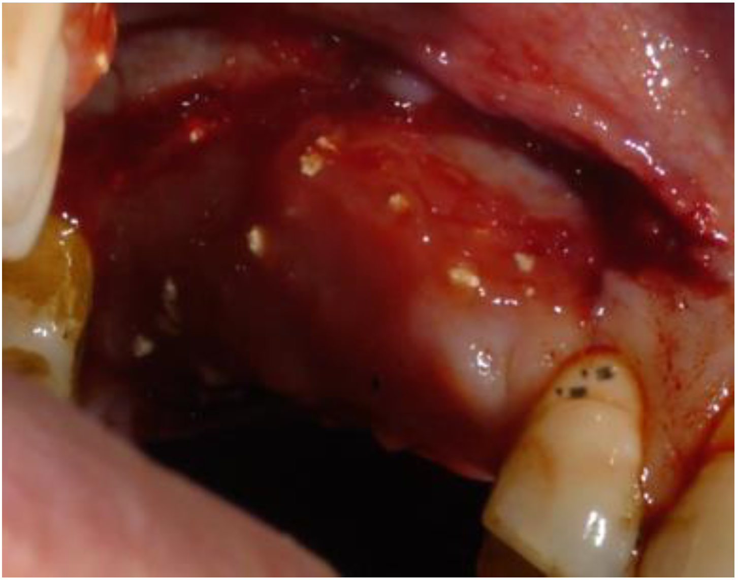 Biomimetics 08 00106 g008 Biomimetics 08 00106 g008