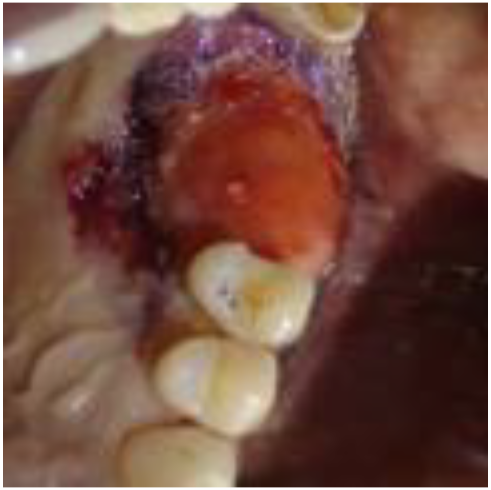 Biomimetics 08 00106 g009 Biomimetics 08 00106 g009