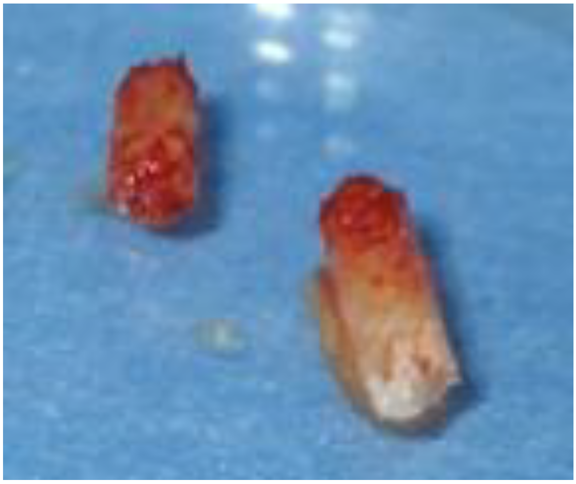 Biomimetics 08 00106 g011 Biomimetics 08 00106 g011