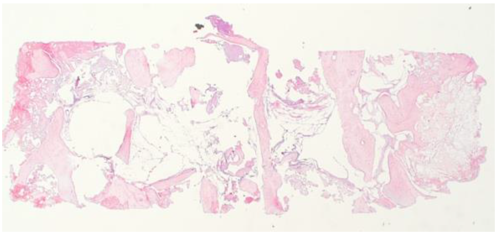 Biomimetics 08 00106 g015 Biomimetics 08 00106 g015