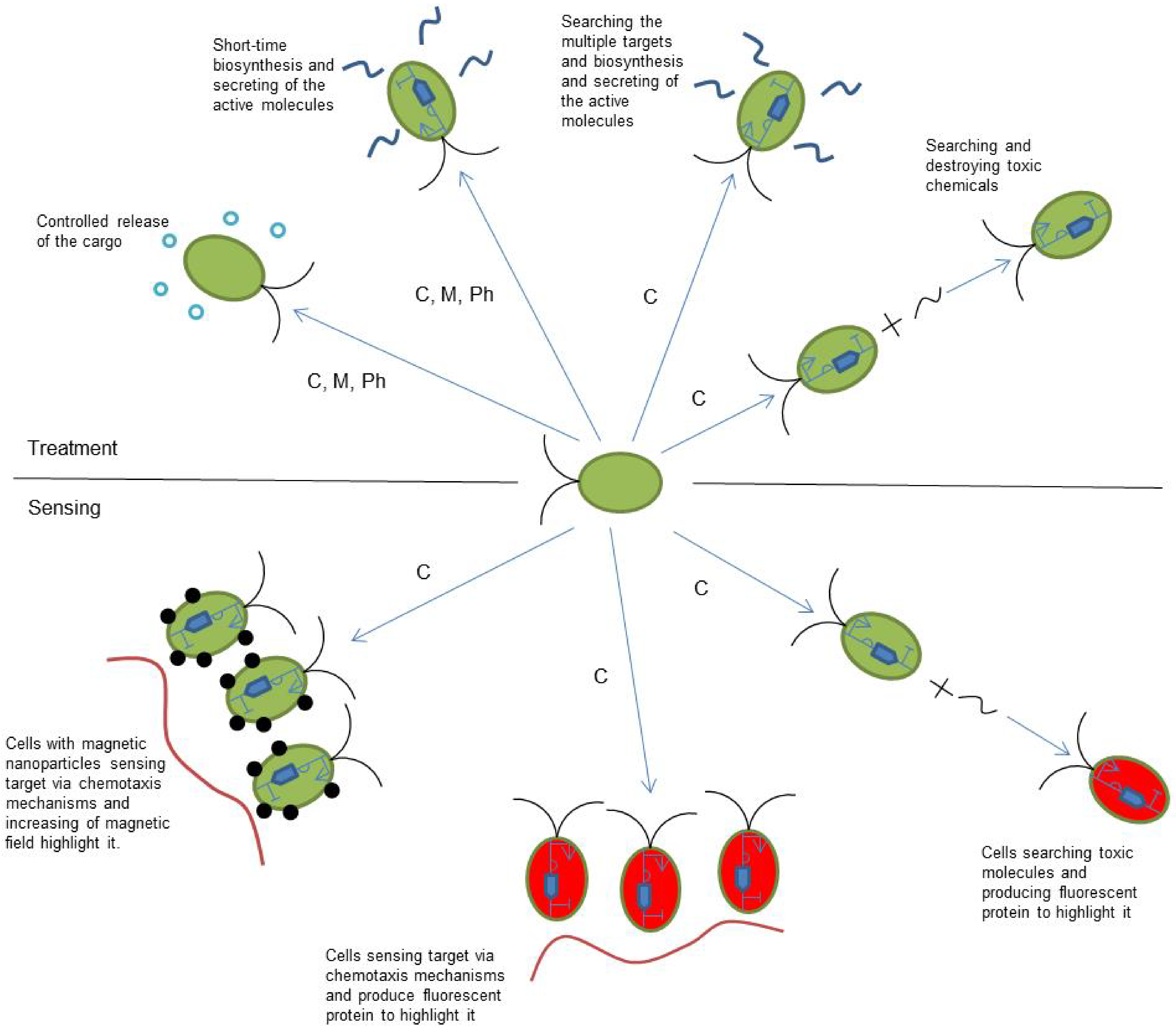 Biomimetics 08 00109 g003 Biomimetics 08 00109 g003