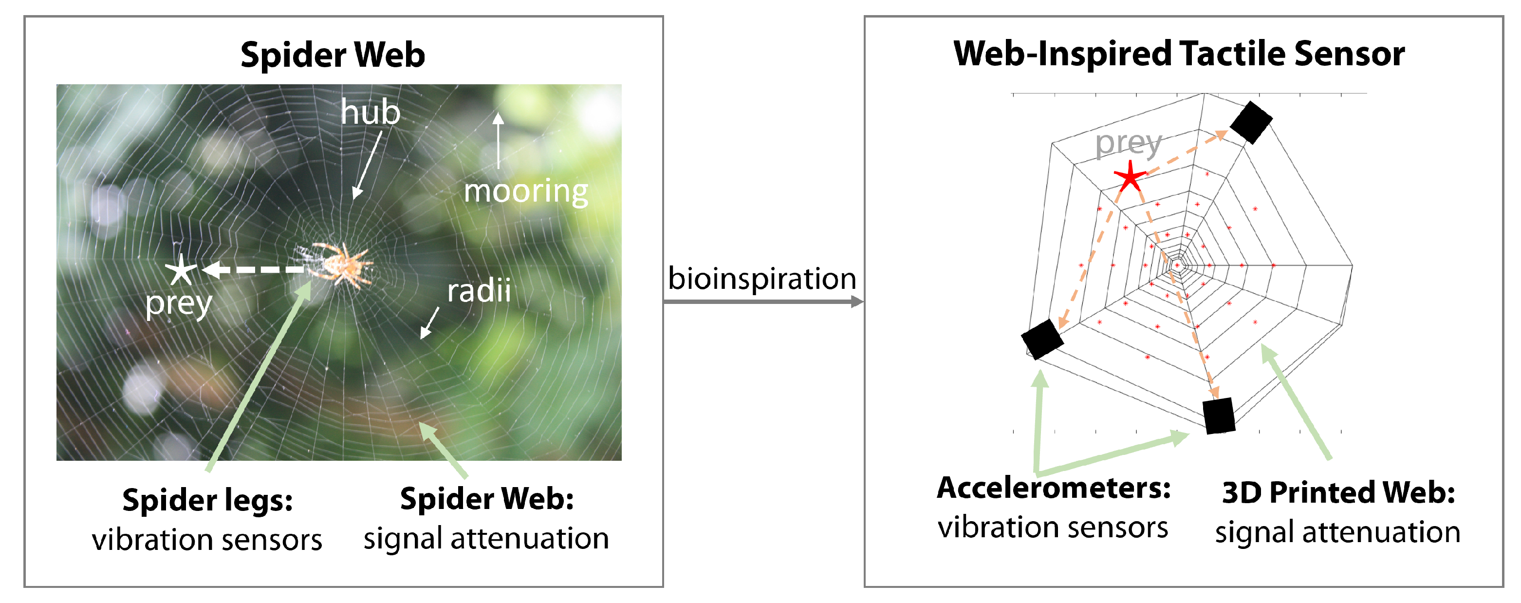 Structural optimization of 3D-printed synthetic spider webs for high  strength