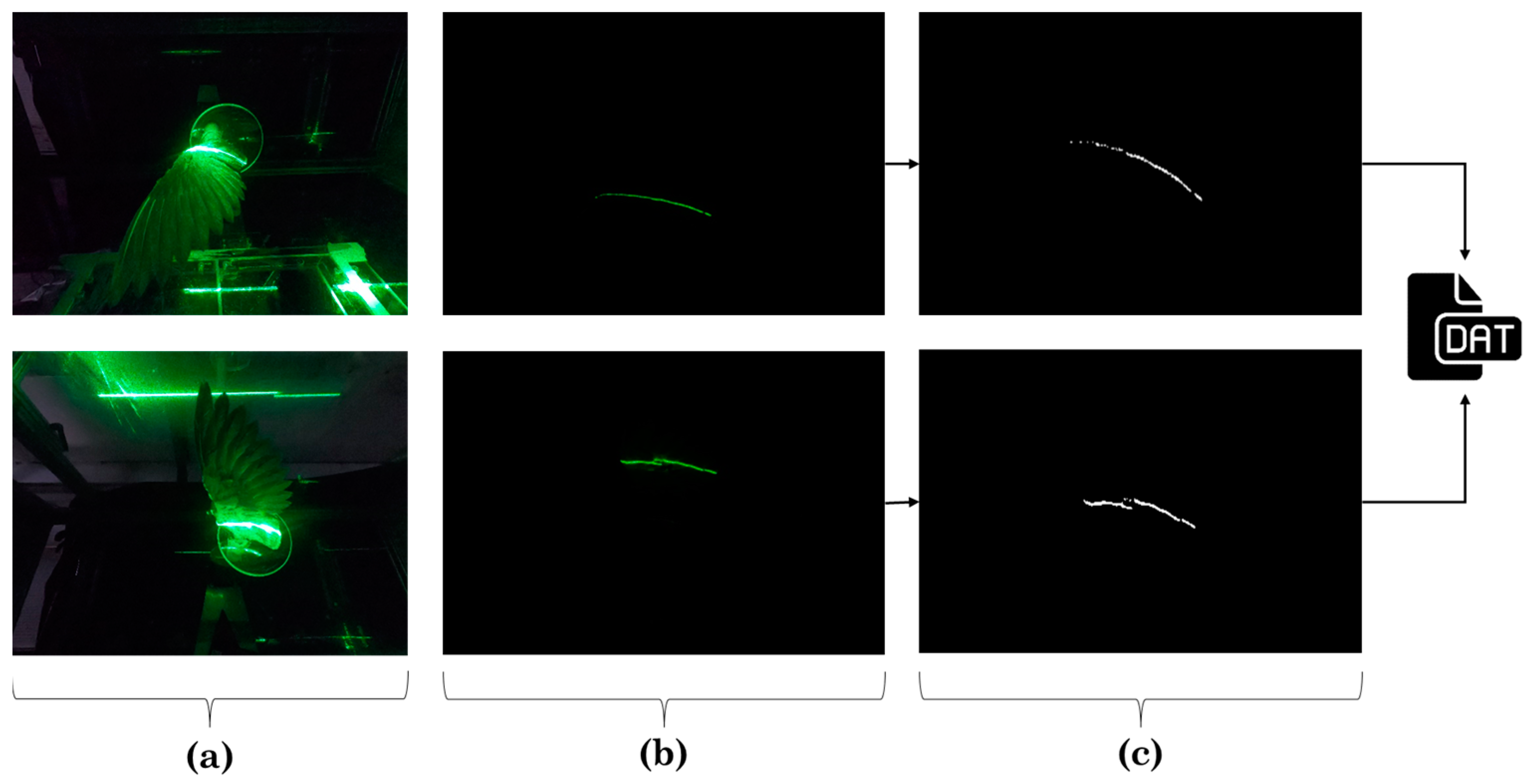 Biomimetics 08 00118 g005