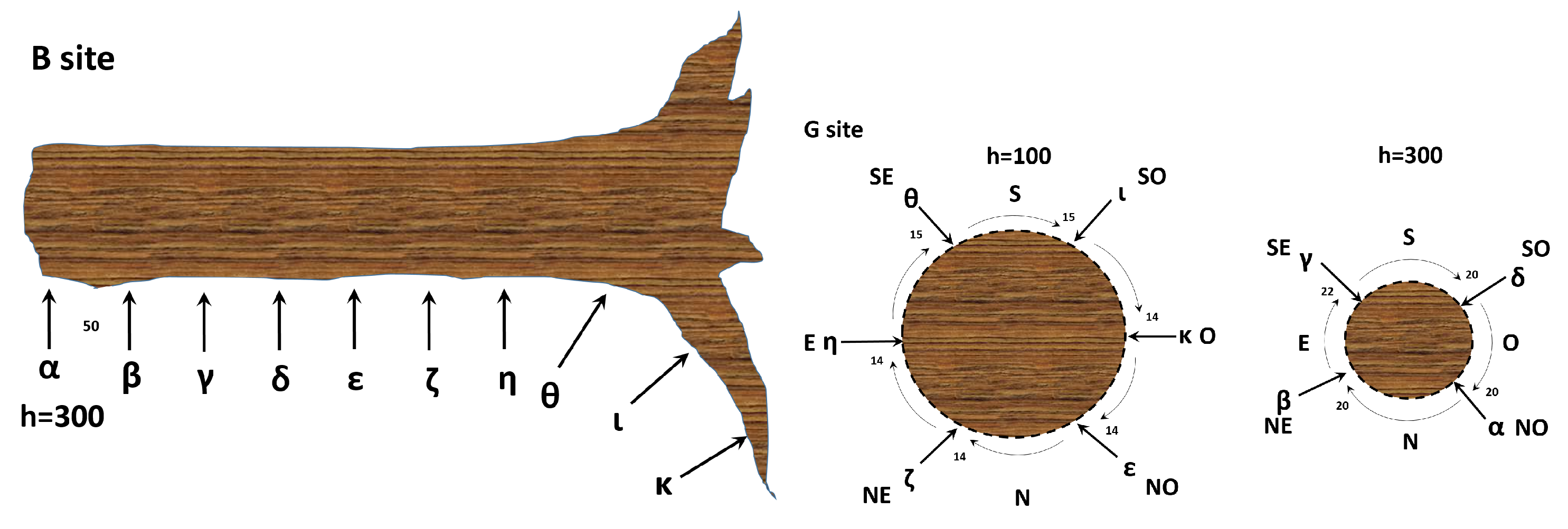 Biomimetics 08 00122 g001 Biomimetics 08 00122 g001