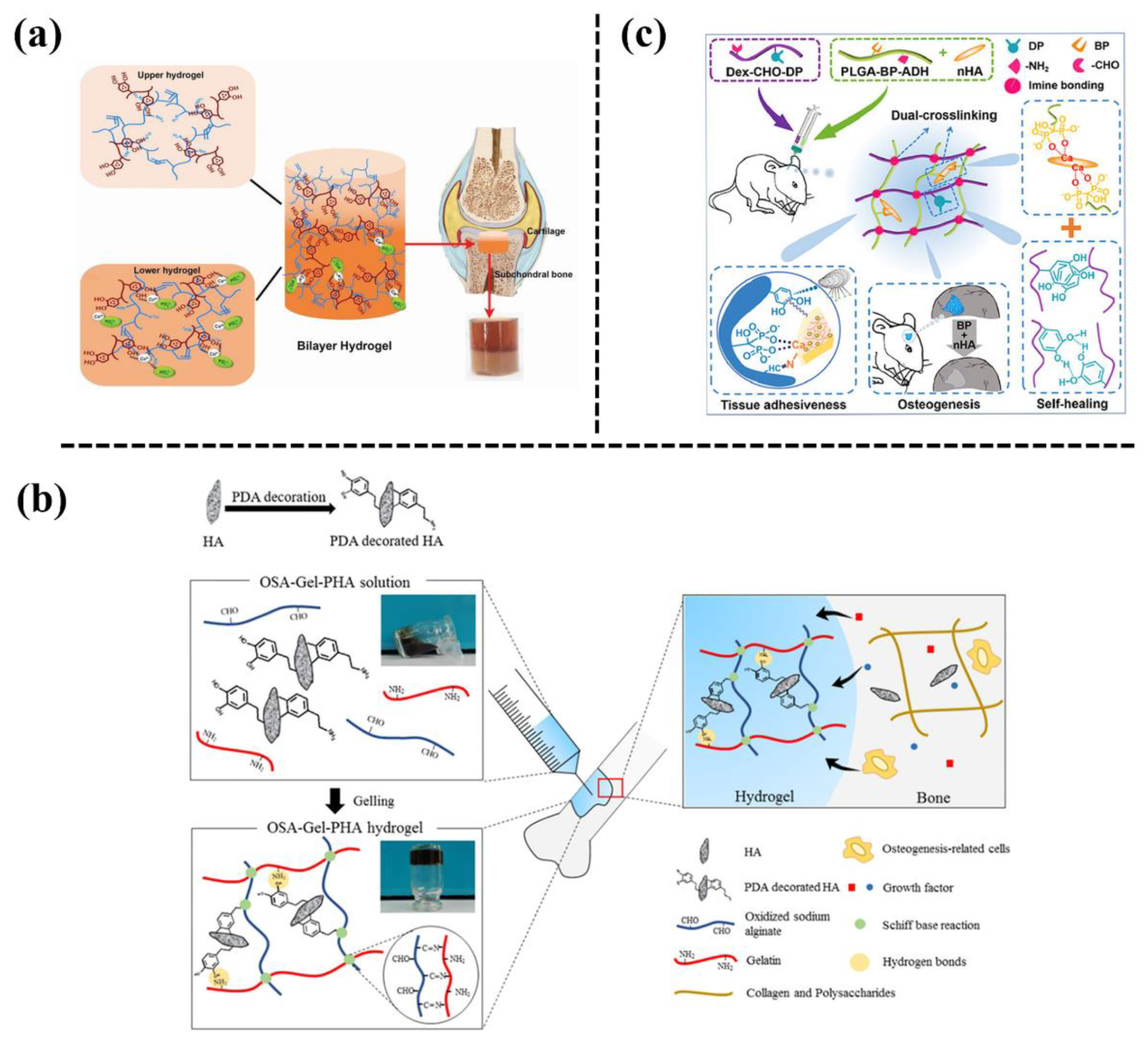 Biomimetics 08 00128 g001 Biomimetics 08 00128 g001